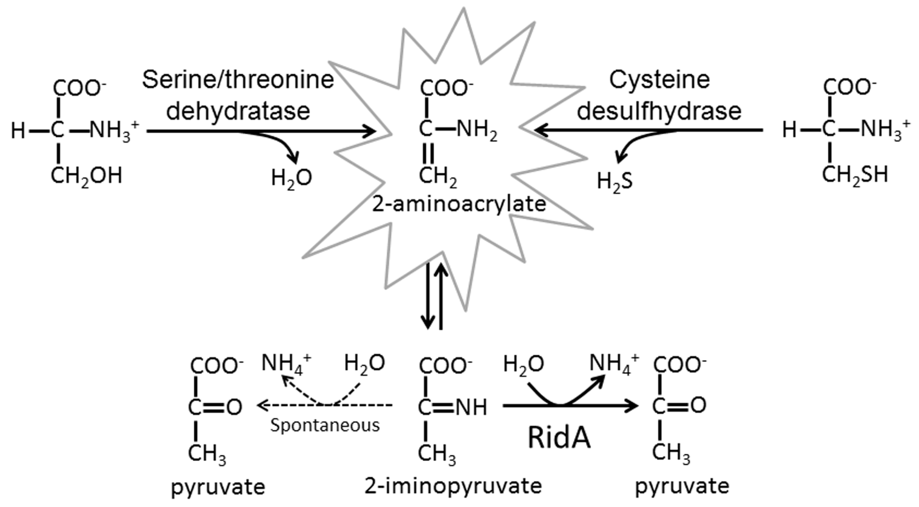 Ijms 19 00945 g001 550