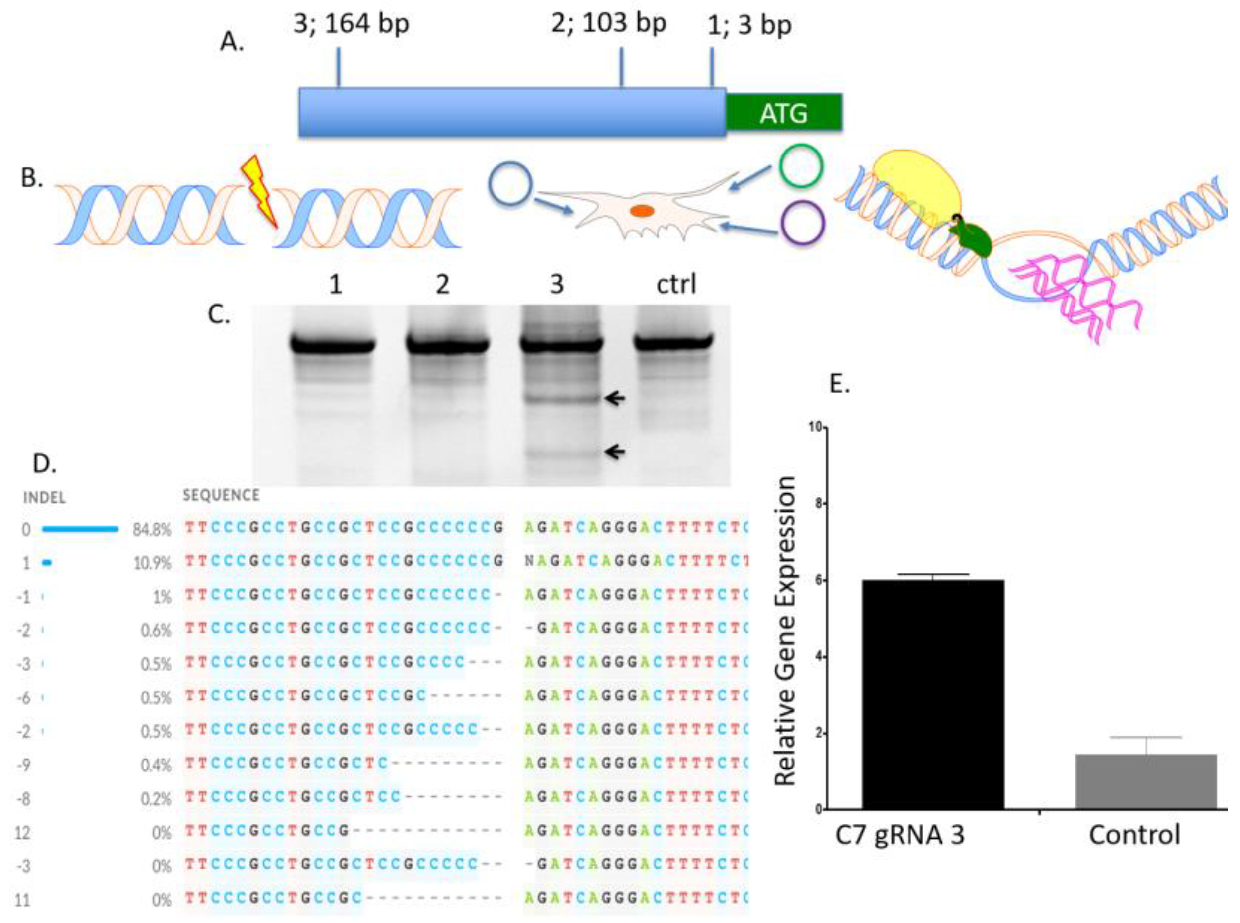 Ijms 19 00946 g001 550