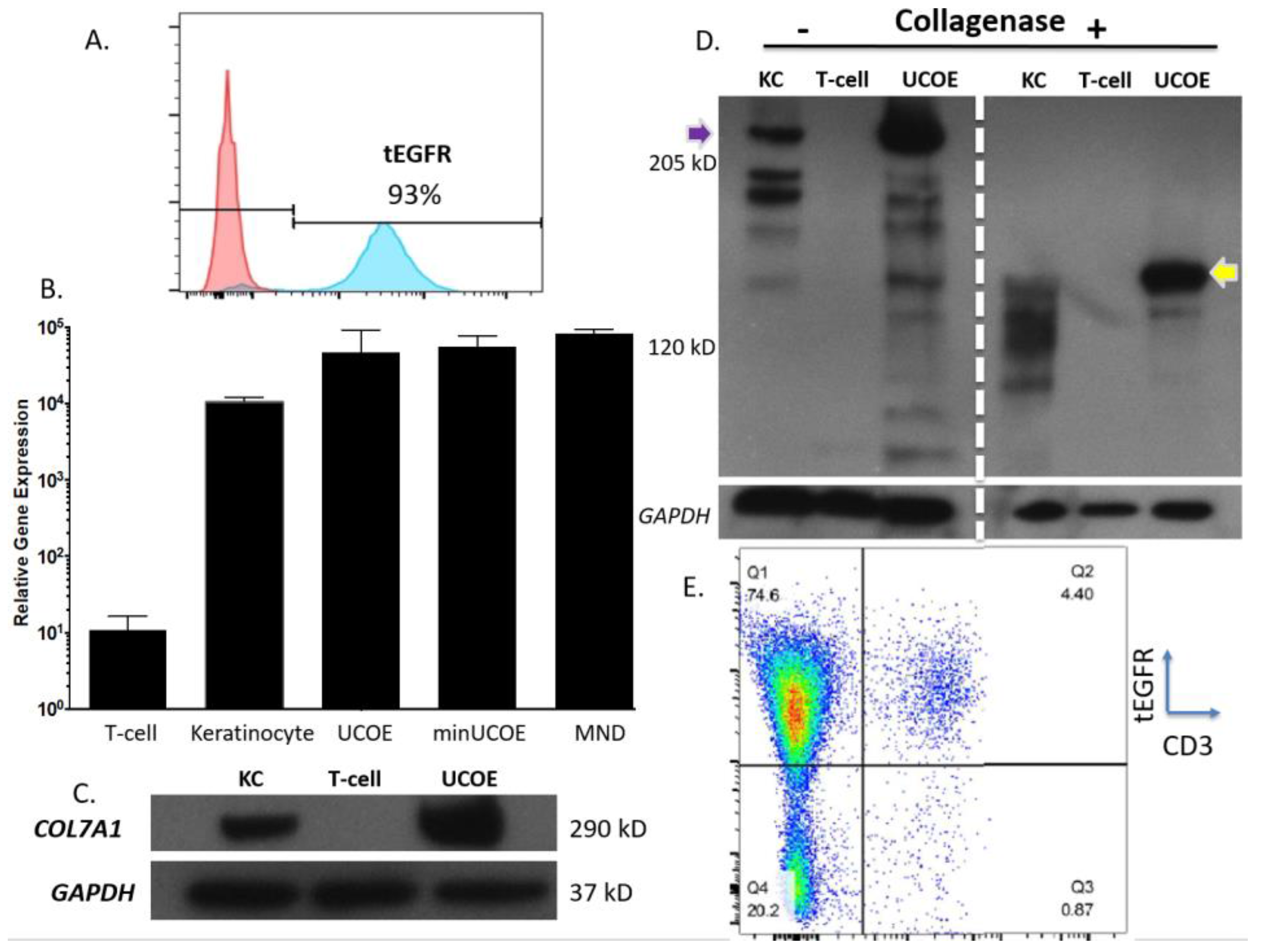 Ijms 19 00946 g005 550