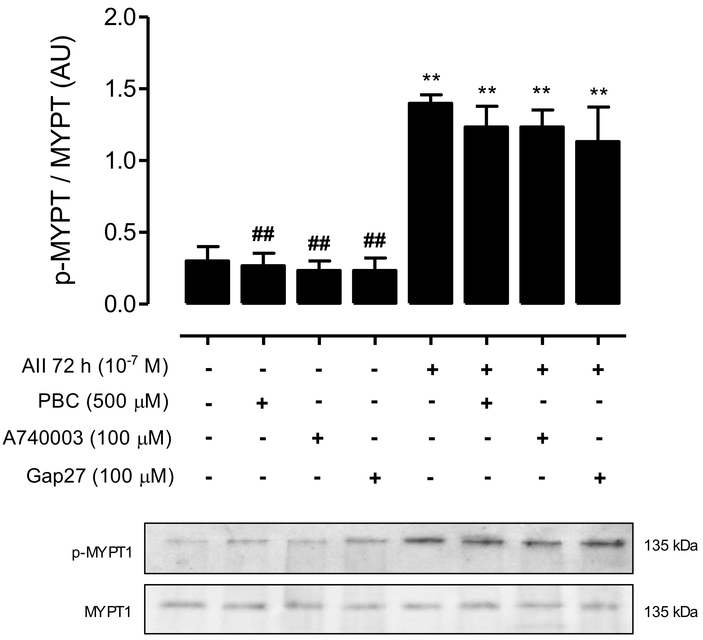 Ijms 19 00957 g008