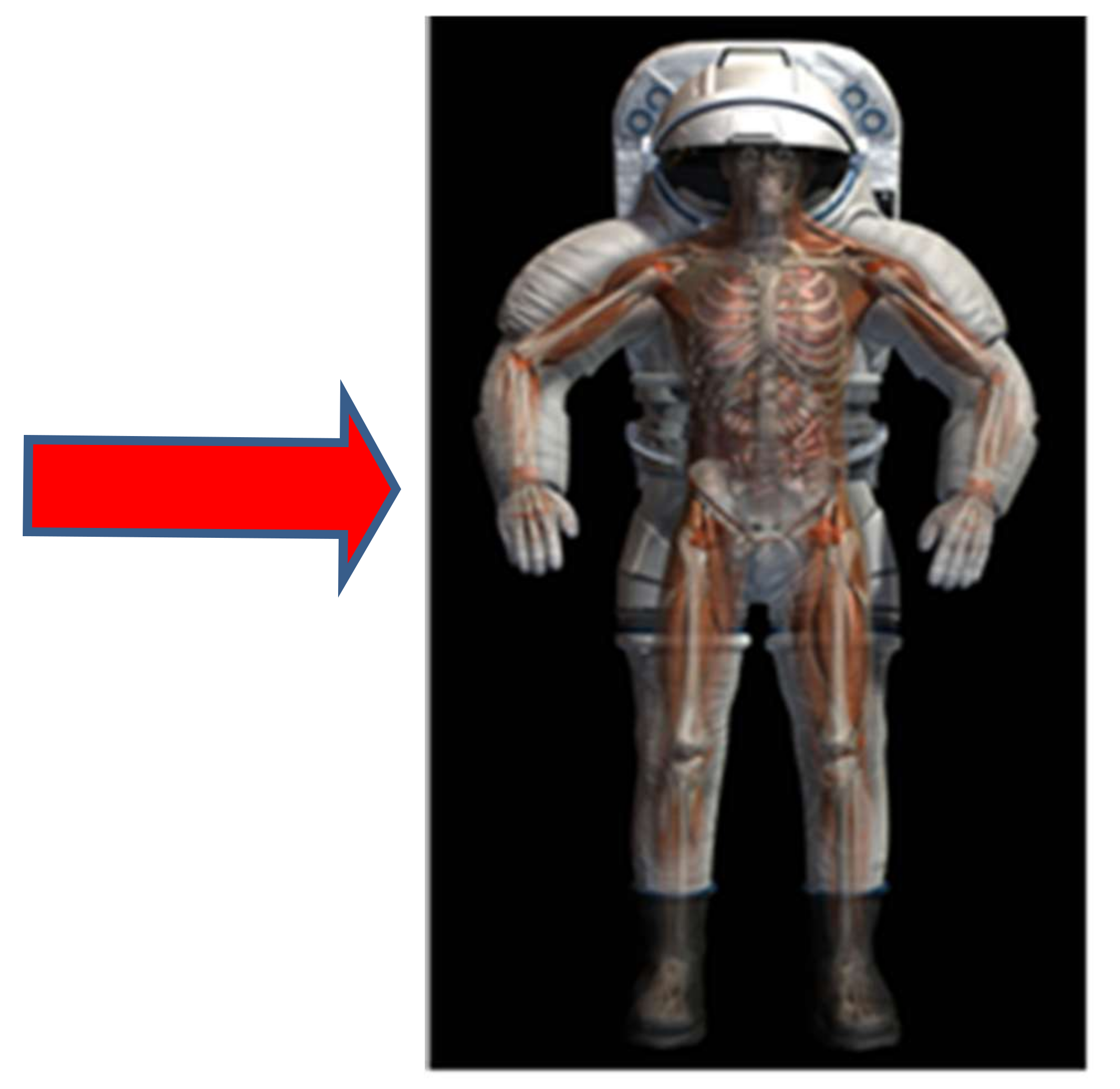 Ijms 19 00959 g002 550