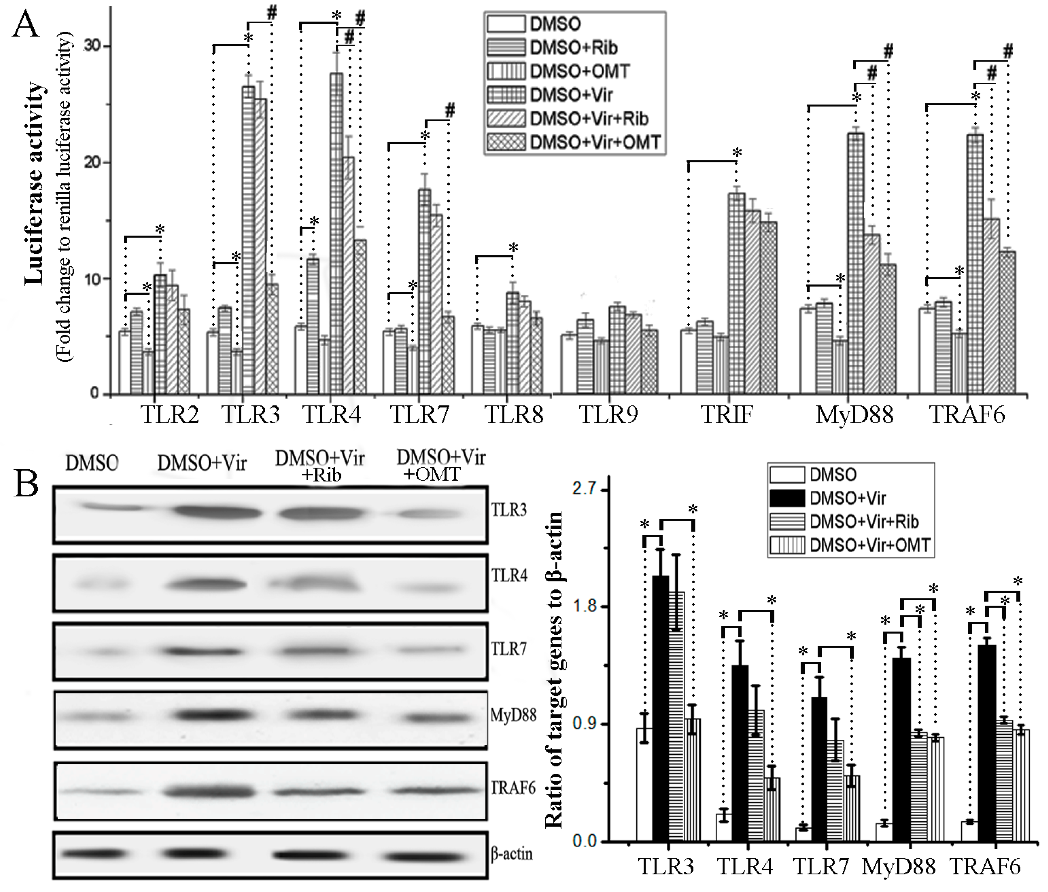Ijms 19 00965 g003 550