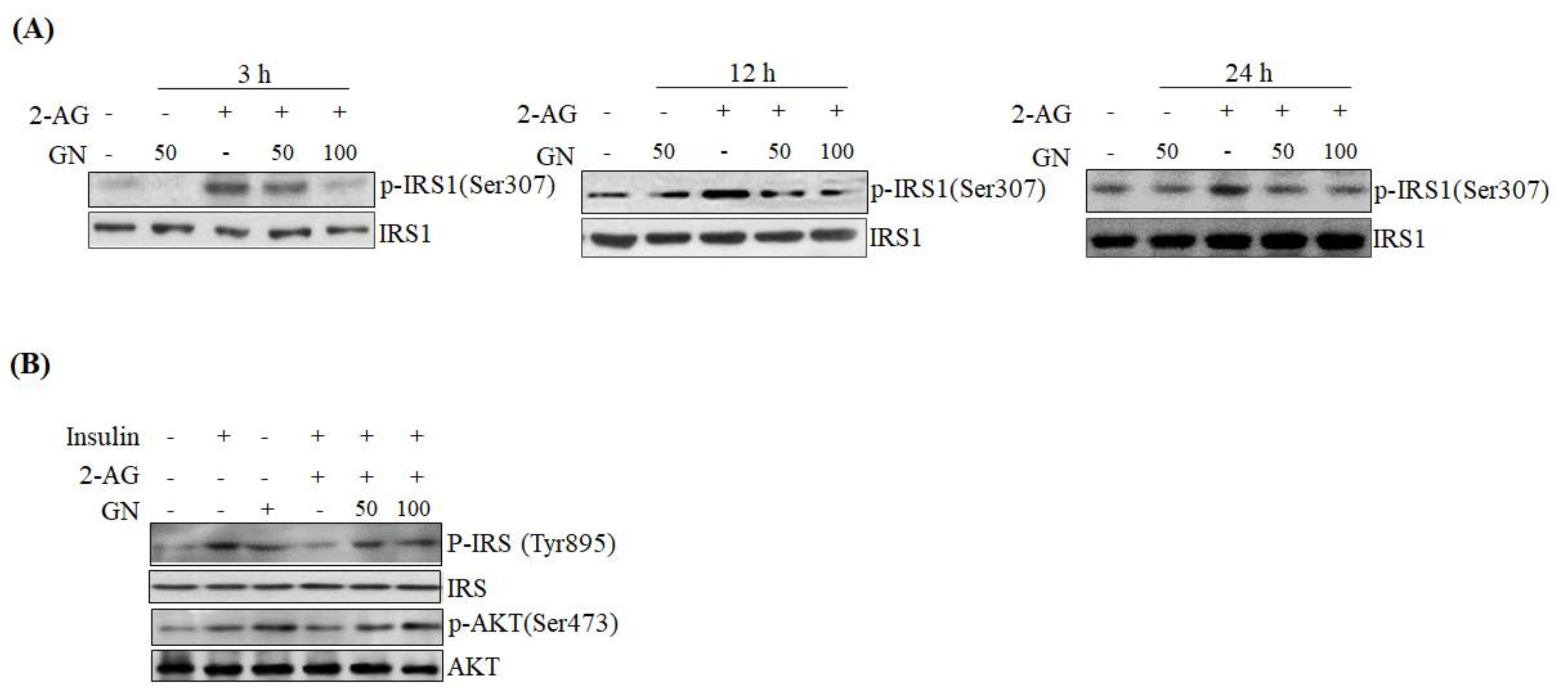 Ijms 19 00968 g003 550