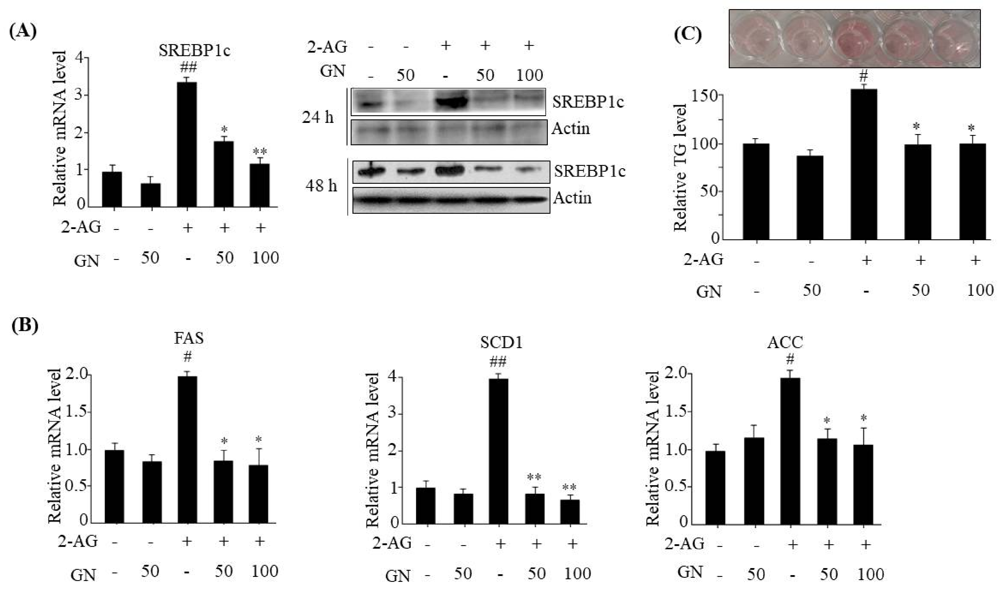 Ijms 19 00968 g004 550