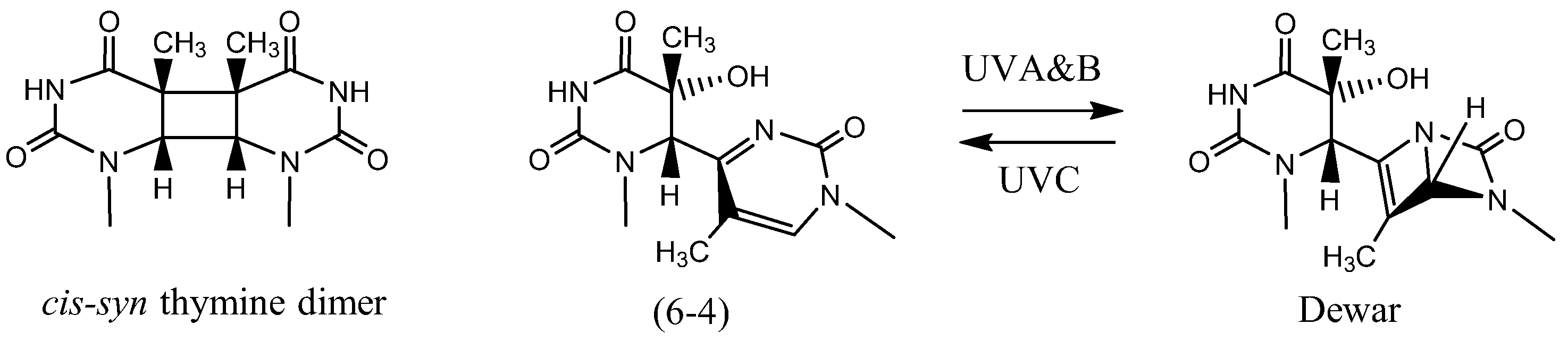 Ijms 19 00970 g002