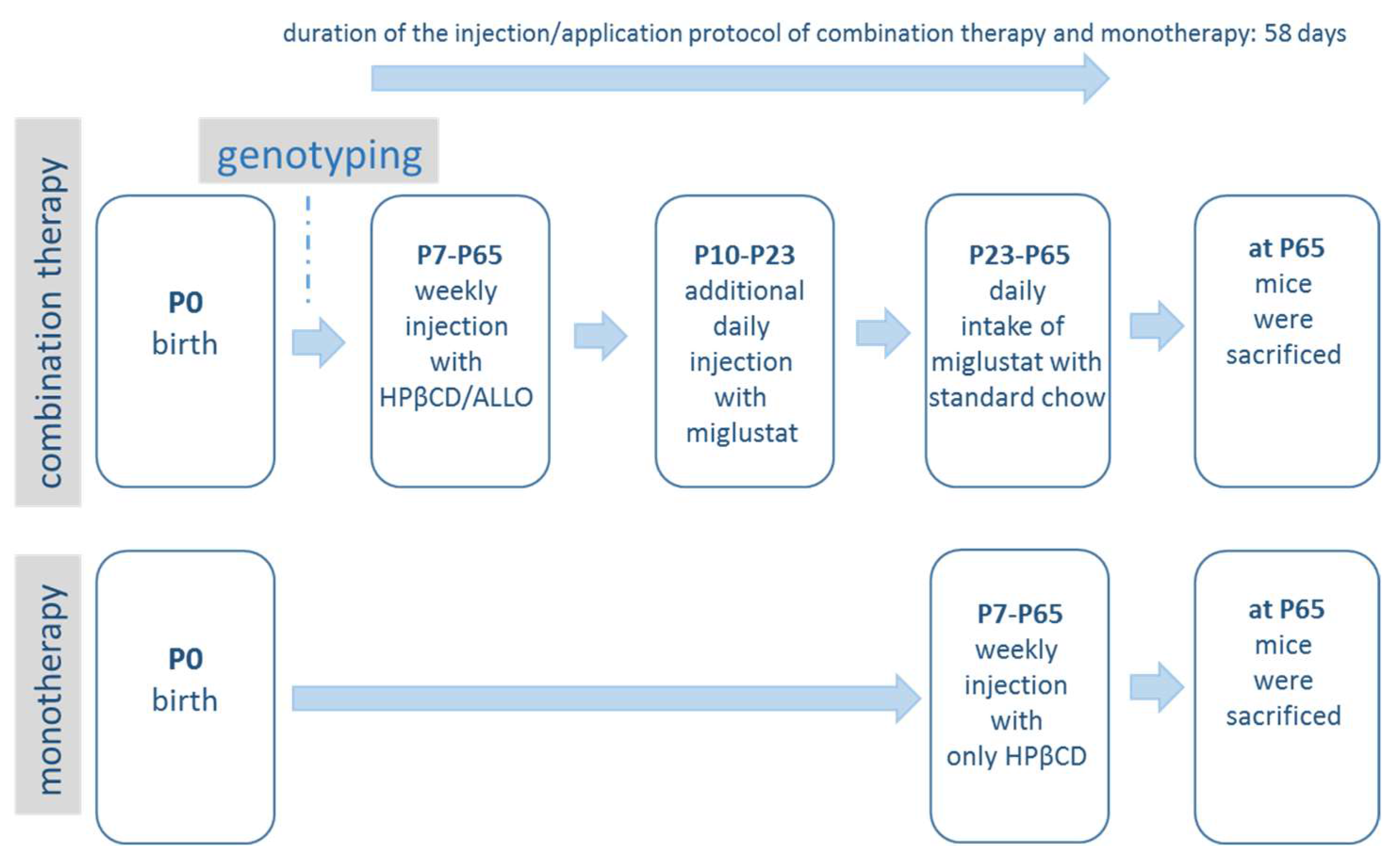 Ijms 19 00972 g010 550