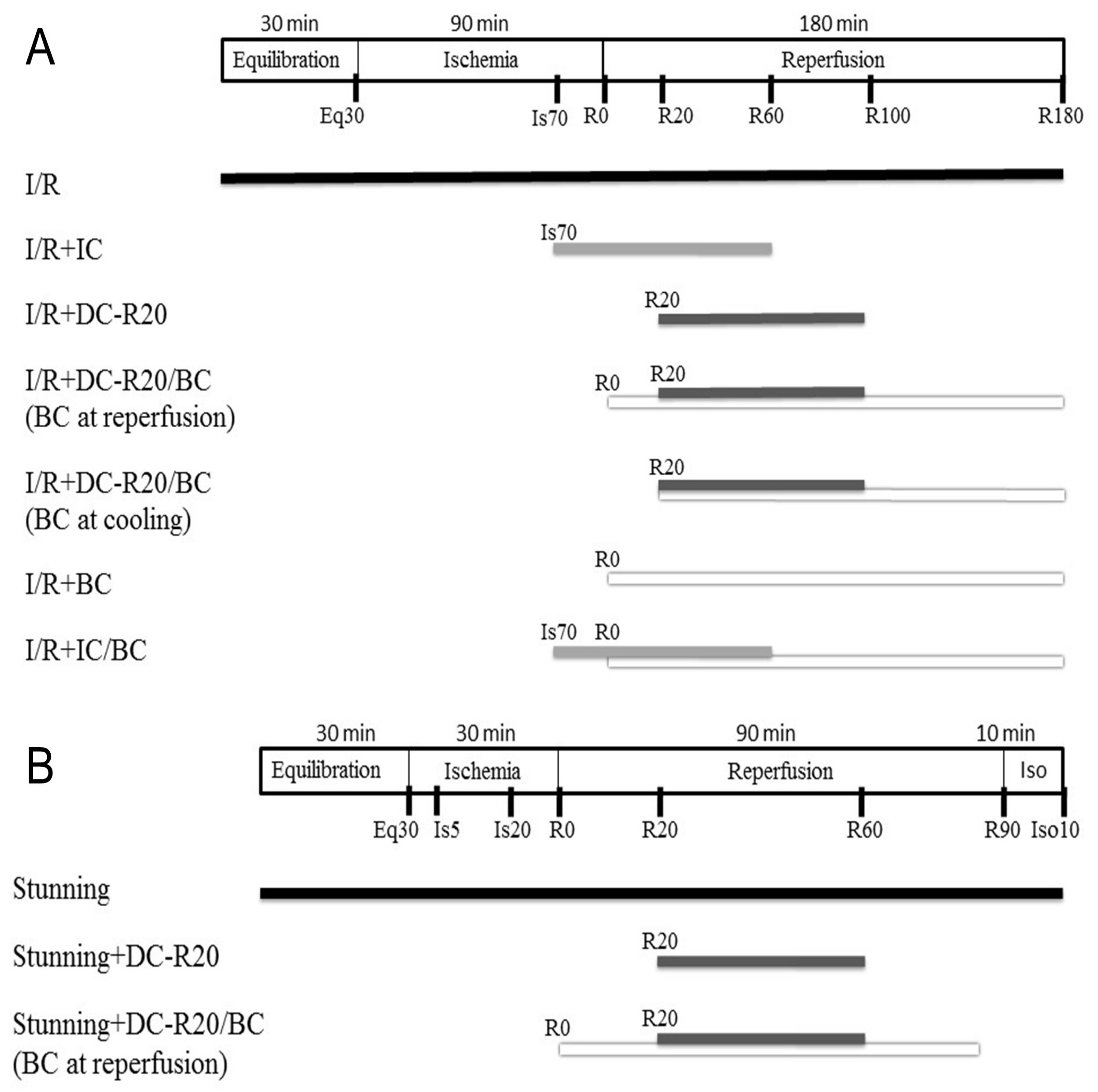 Ijms 19 00973 g001 Ijms 19 00973 g001