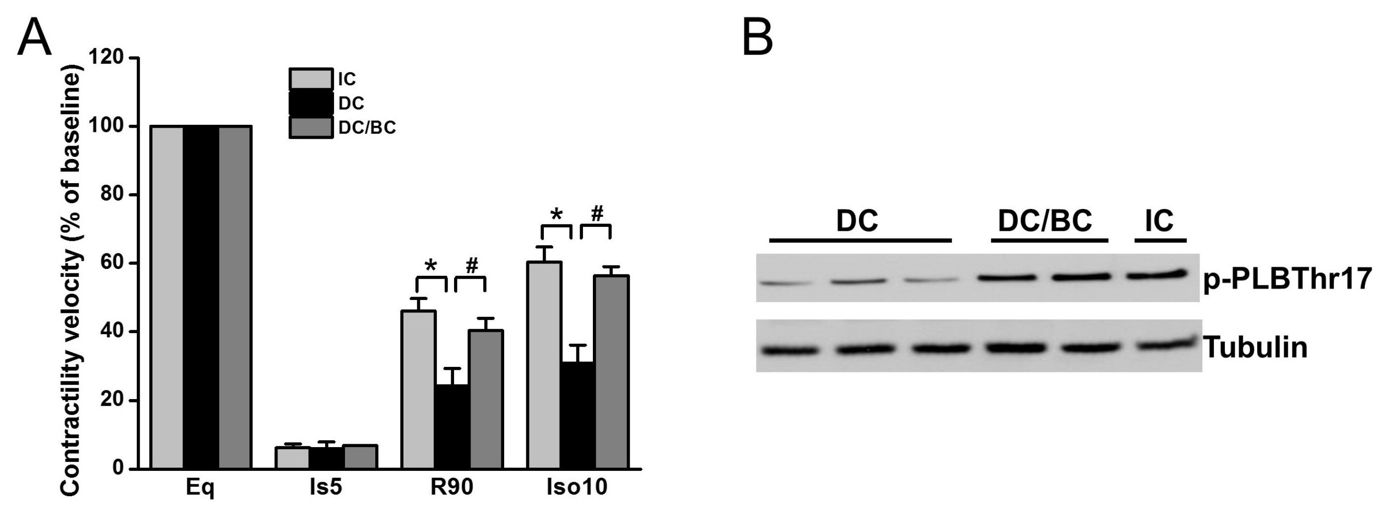 Ijms 19 00973 g004 Ijms 19 00973 g004