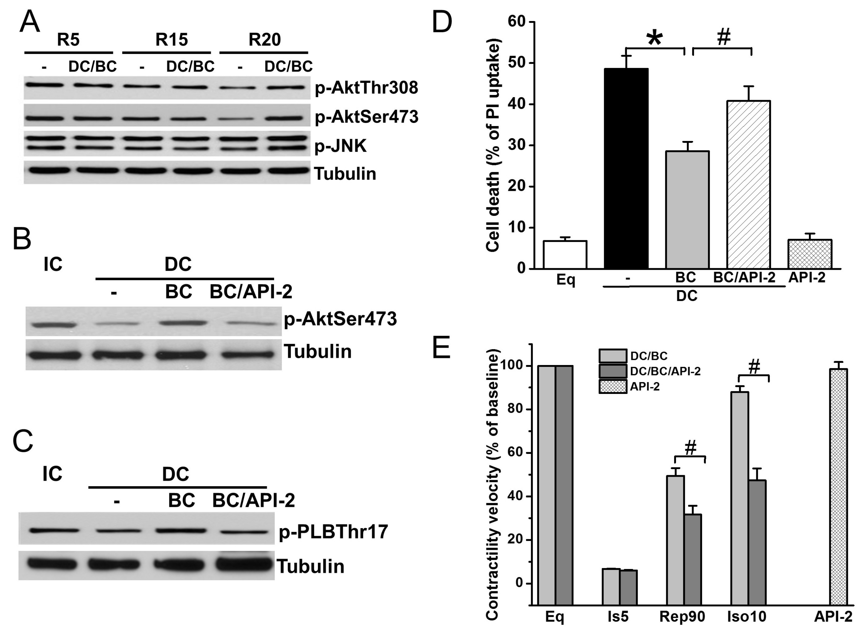 Ijms 19 00973 g005 Ijms 19 00973 g005