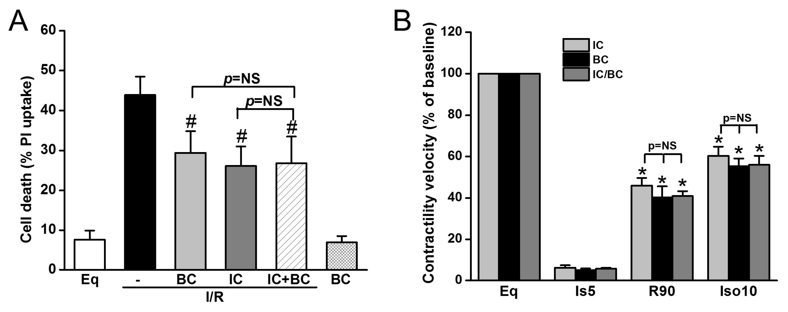 Ijms 19 00973 g006 Ijms 19 00973 g006