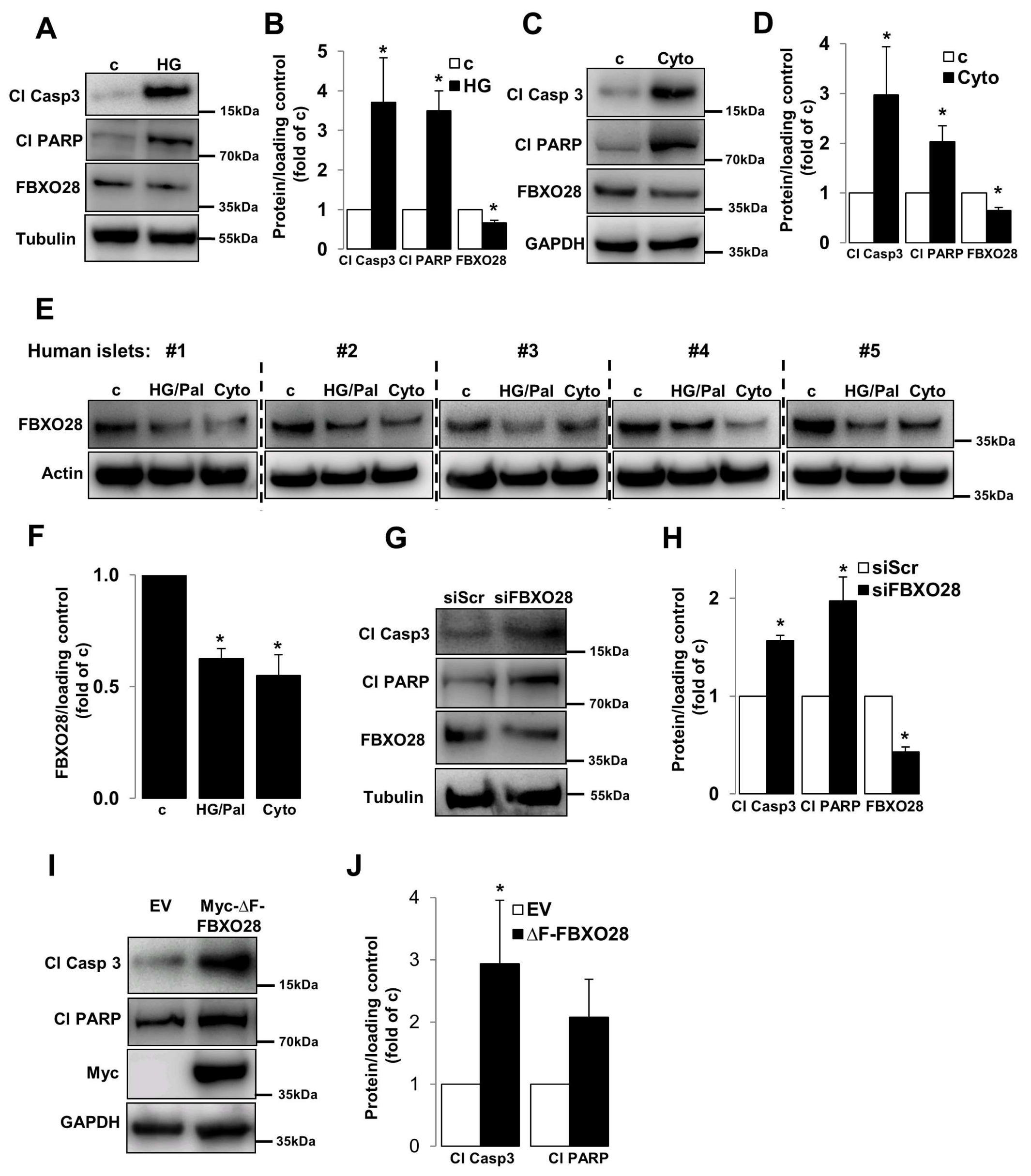 Ijms 19 00975 g001