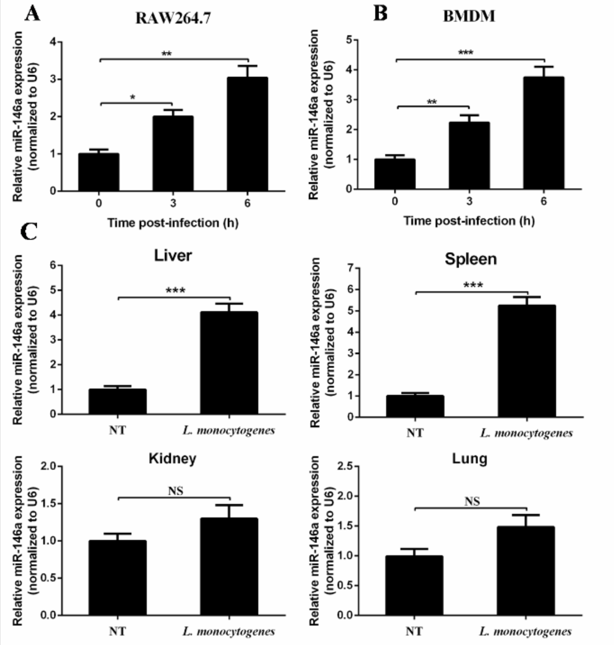 Ijms 19 00993 g001 550