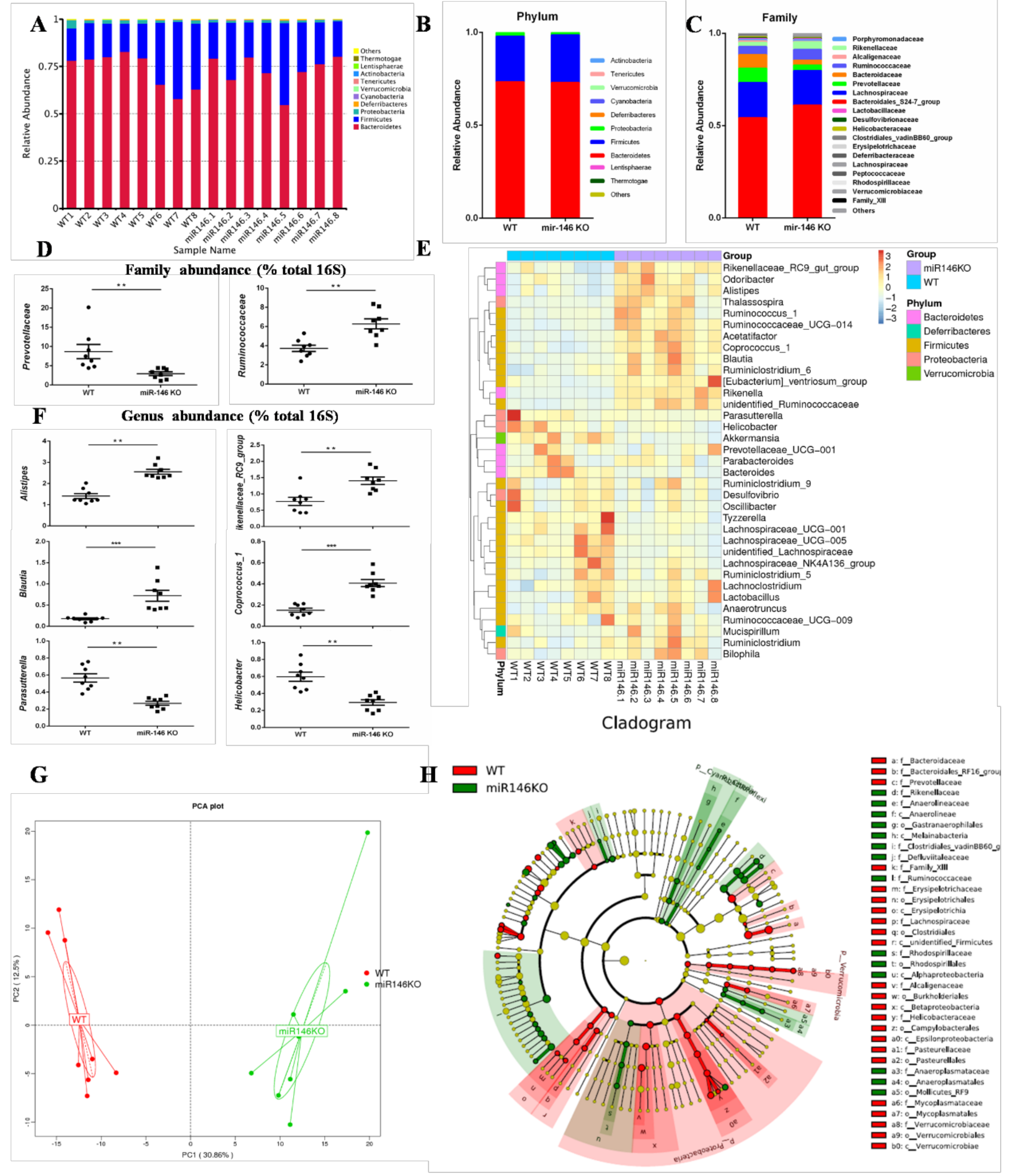 Ijms 19 00993 g004 550