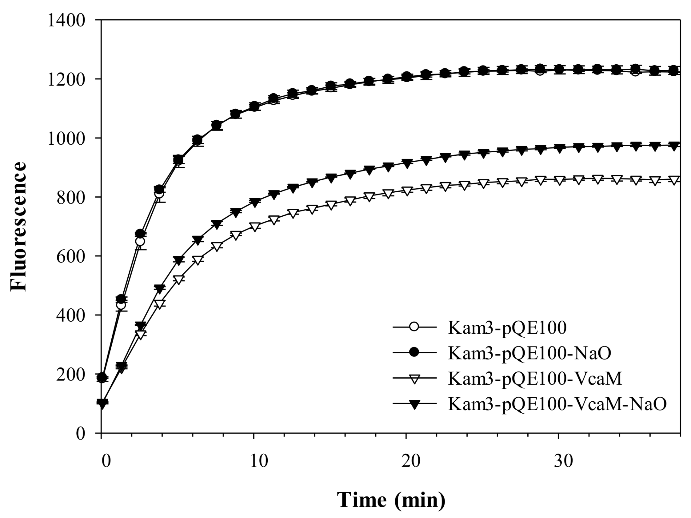 Ijms 19 01000 g003 Ijms 19 01000 g003