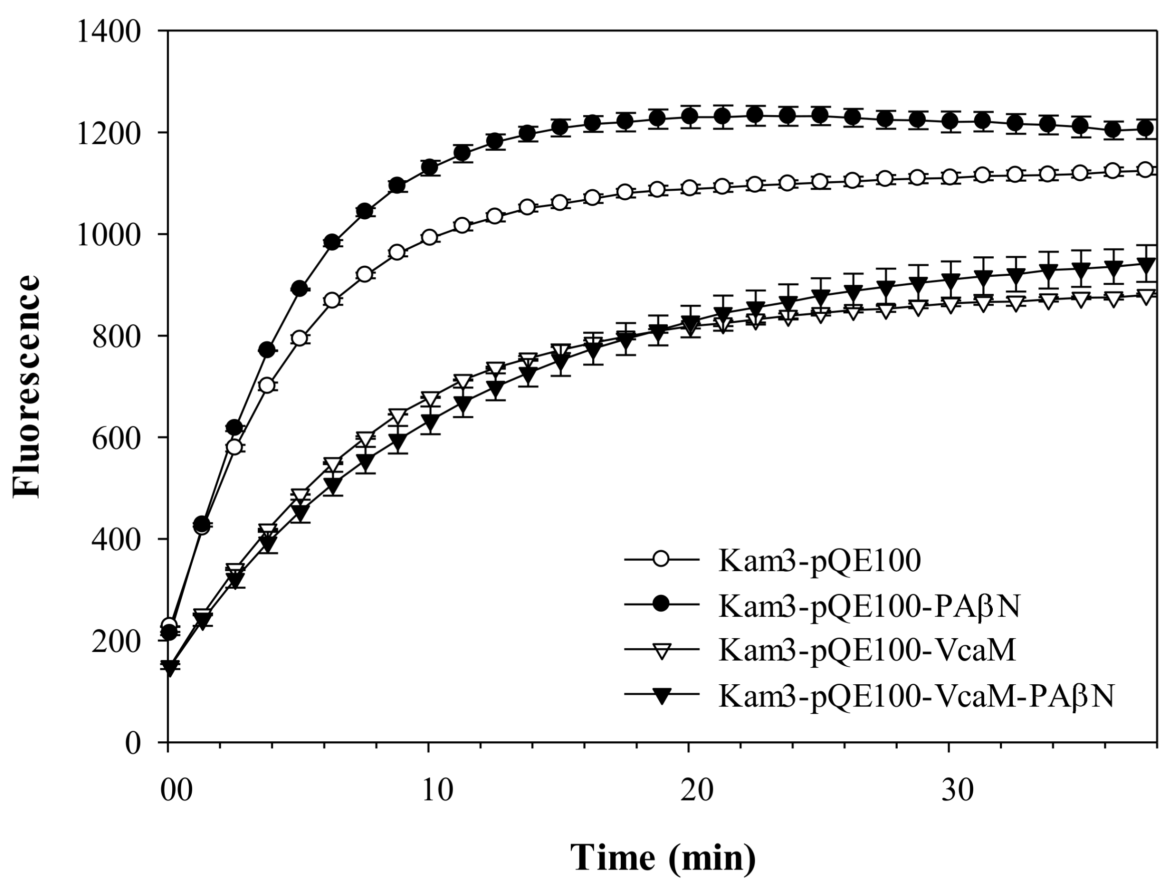 Ijms 19 01000 g004 Ijms 19 01000 g004
