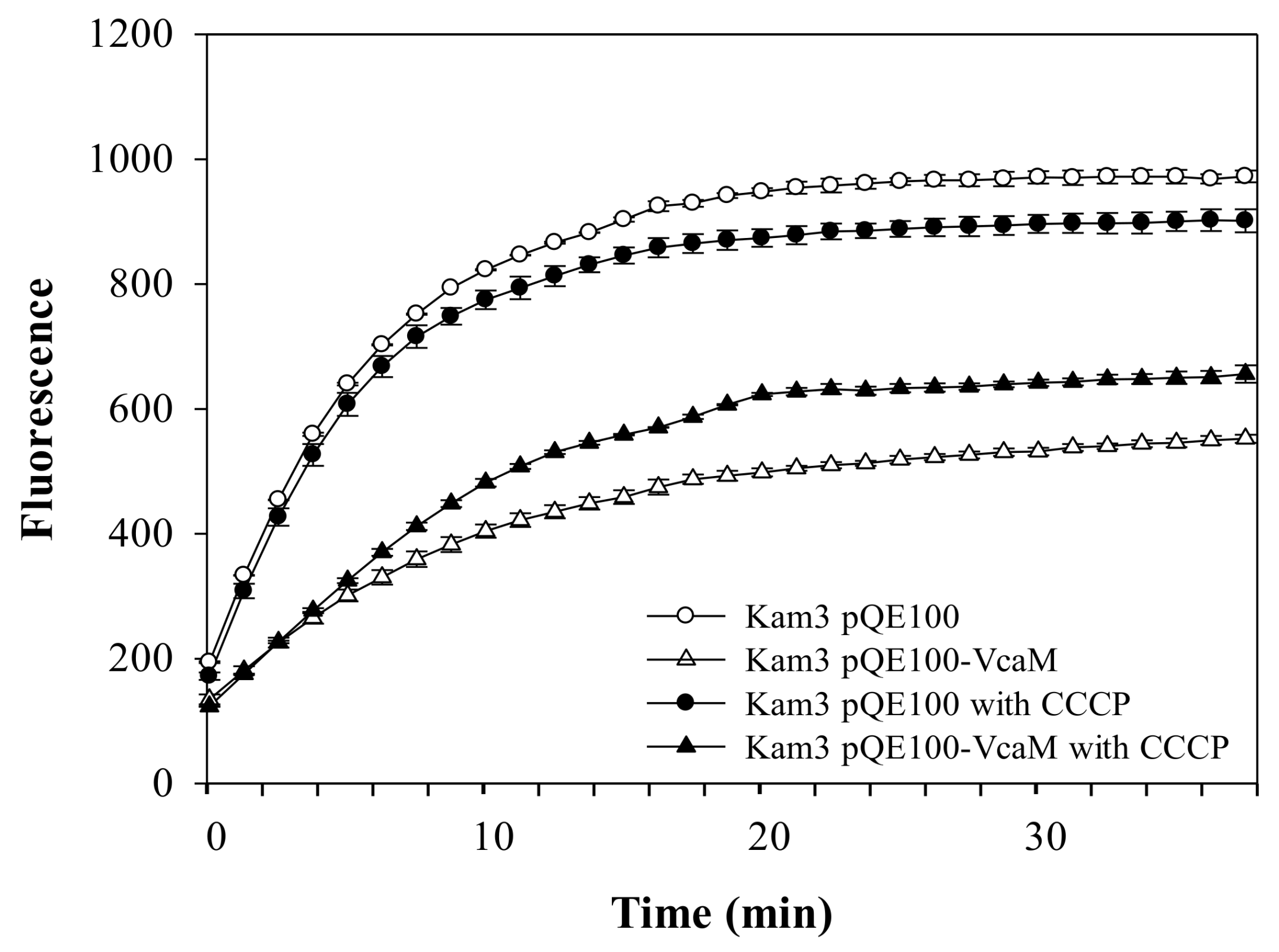 Ijms 19 01000 g005 Ijms 19 01000 g005