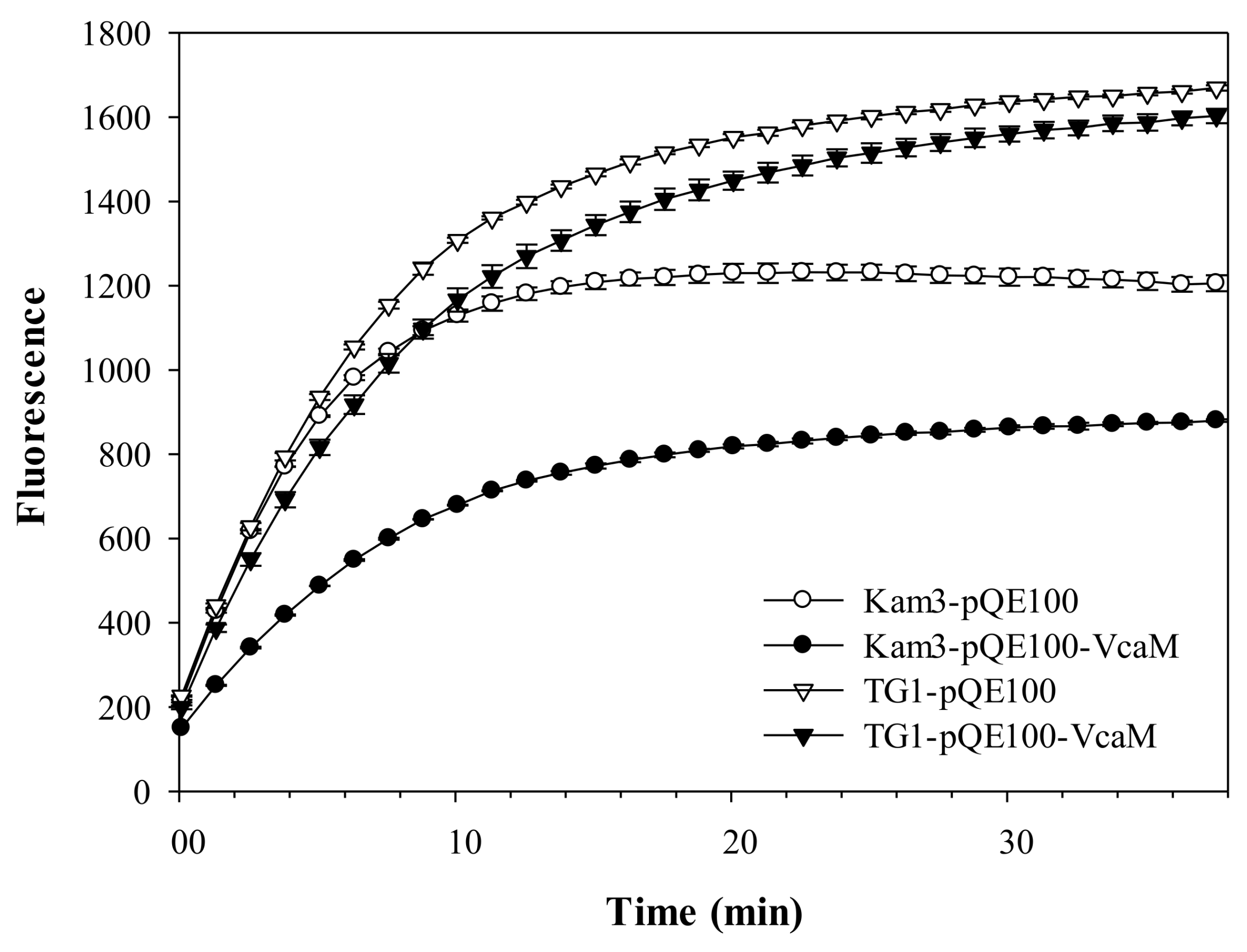 Ijms 19 01000 g006 Ijms 19 01000 g006