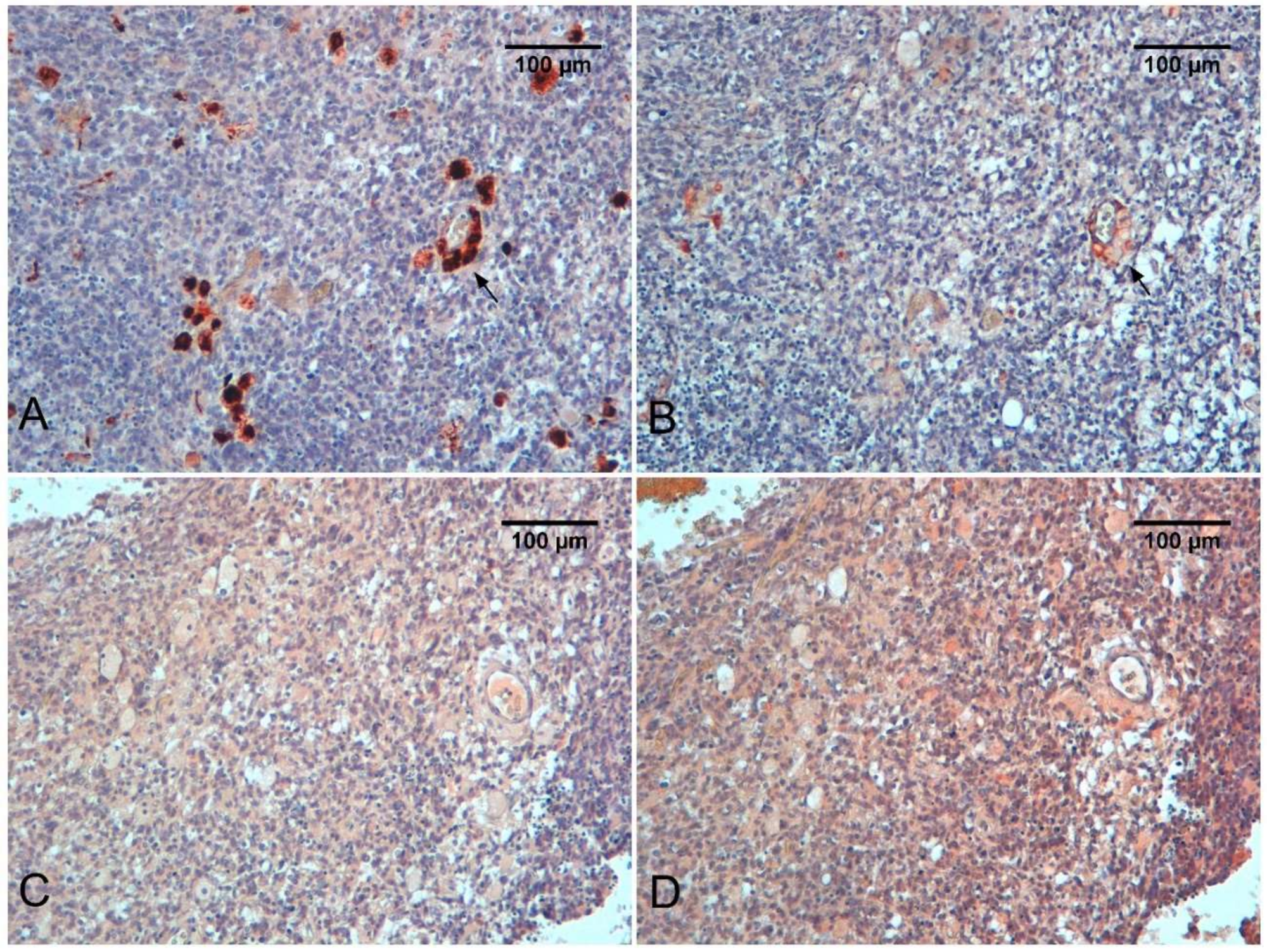 Ijms 19 01005 g003 Ijms 19 01005 g003