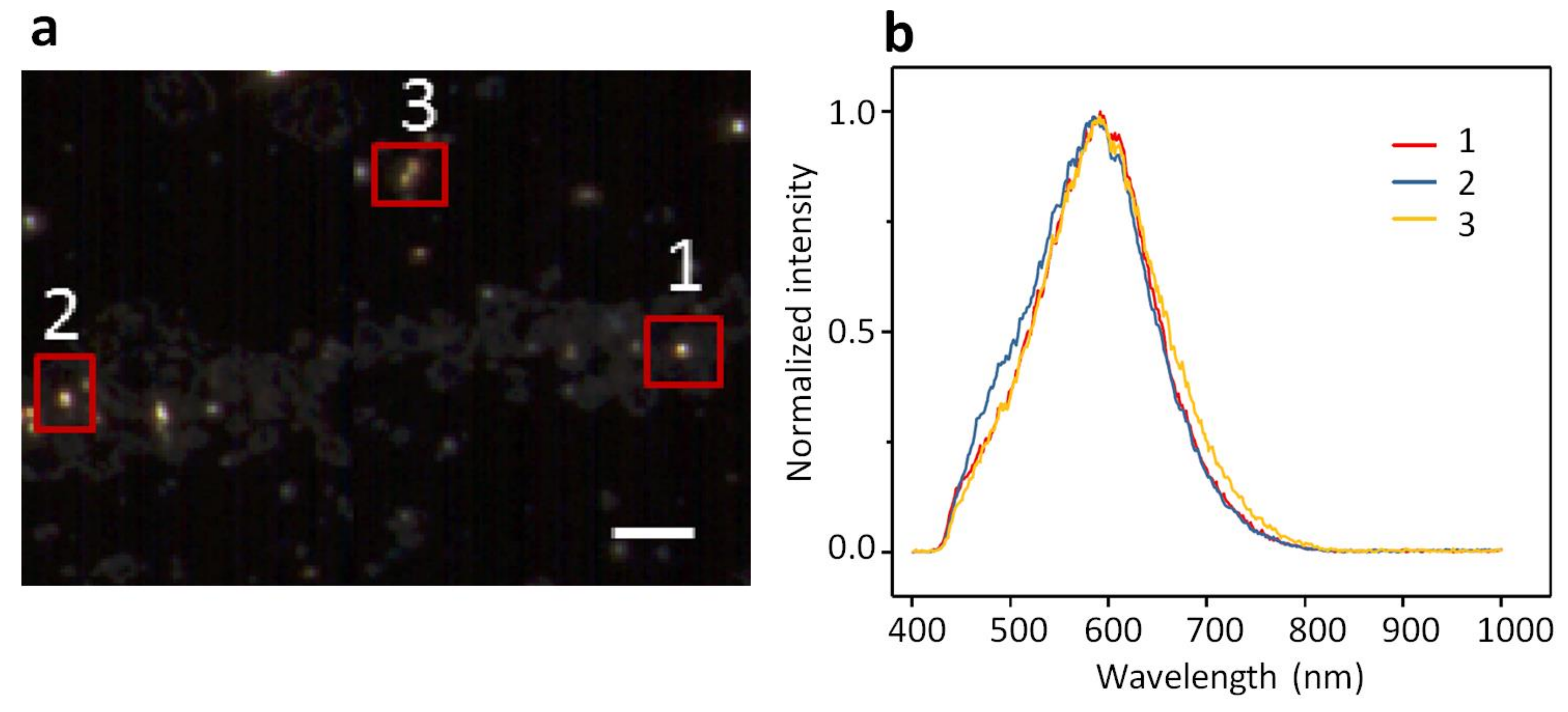Ijms 19 01014 g001 Ijms 19 01014 g001