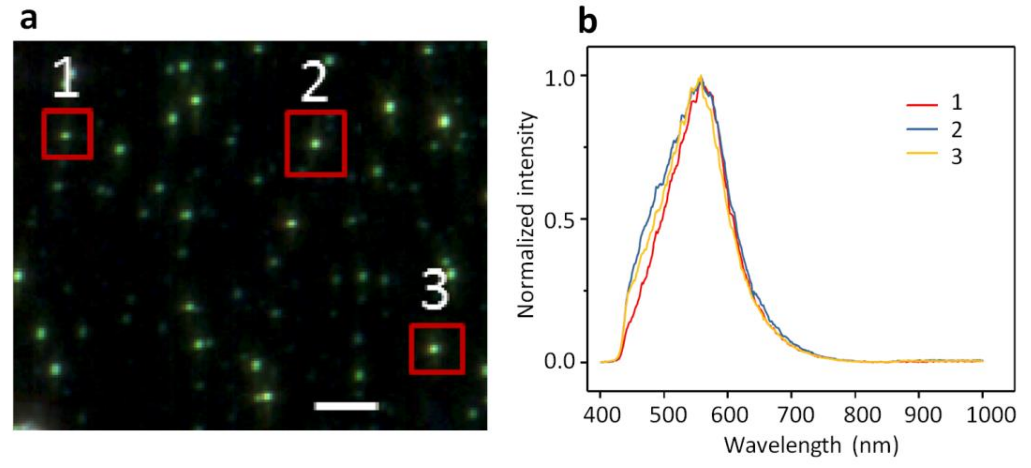 Ijms 19 01014 g002 Ijms 19 01014 g002