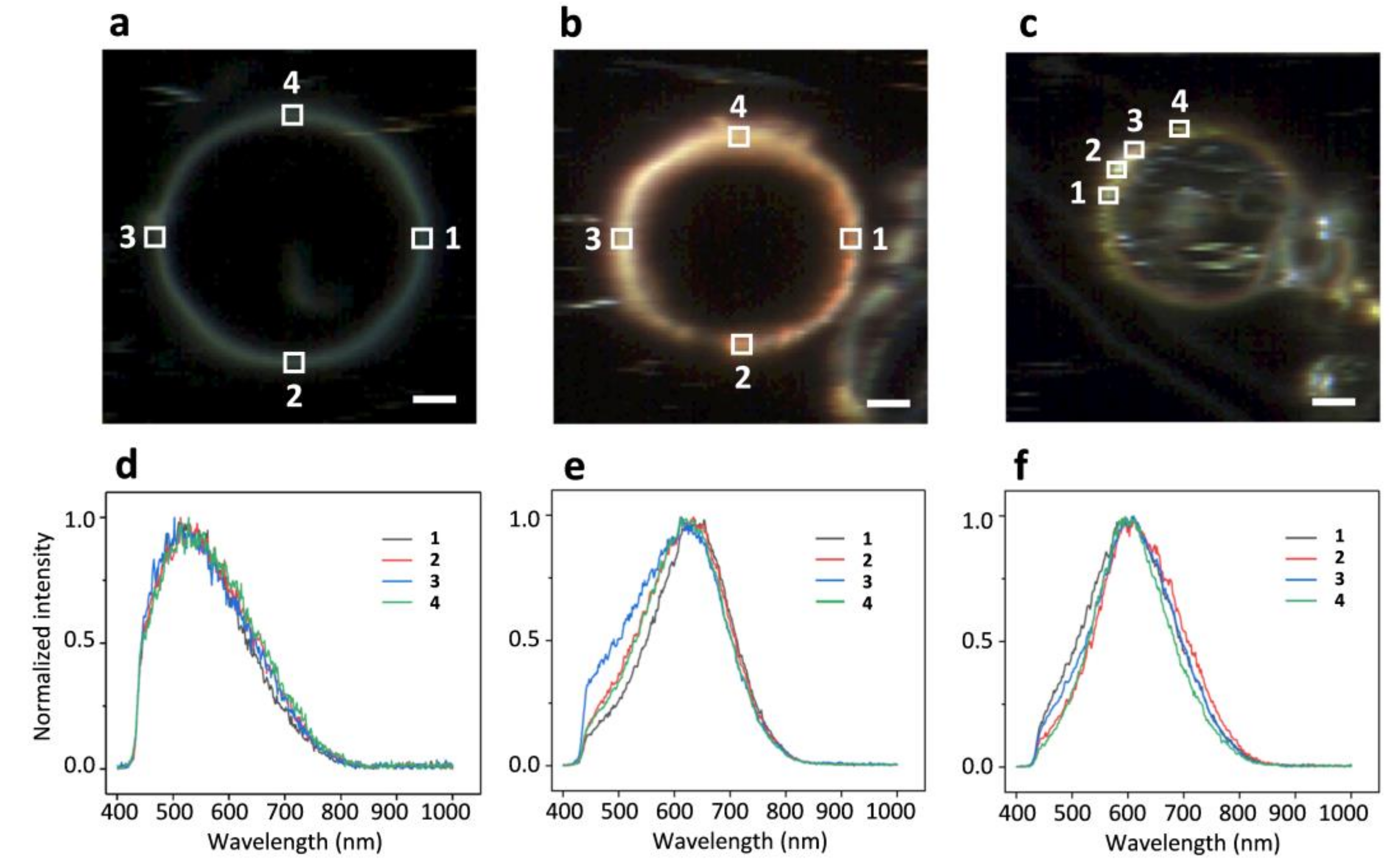 Ijms 19 01014 g003 Ijms 19 01014 g003