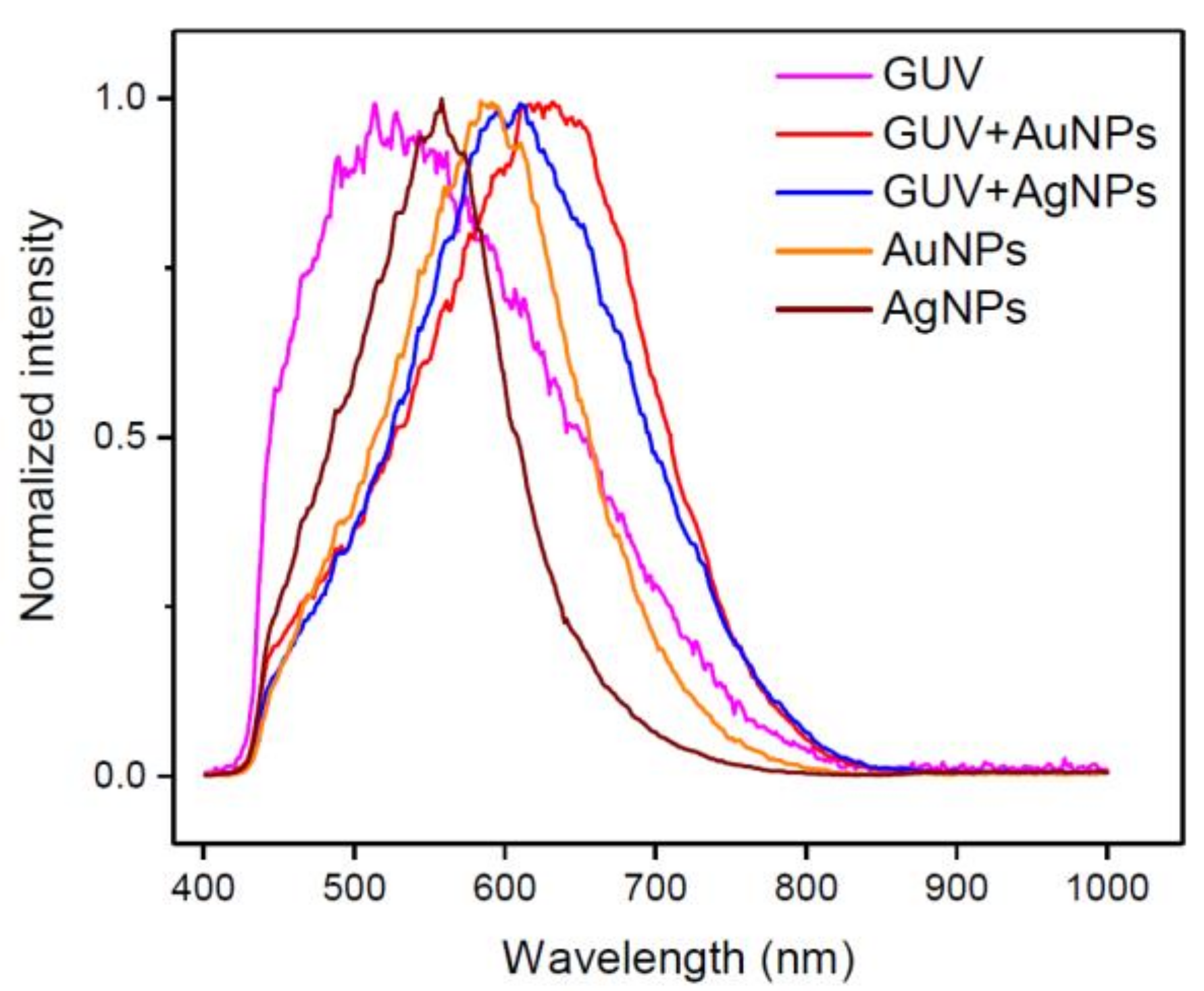 Ijms 19 01014 g004 Ijms 19 01014 g004