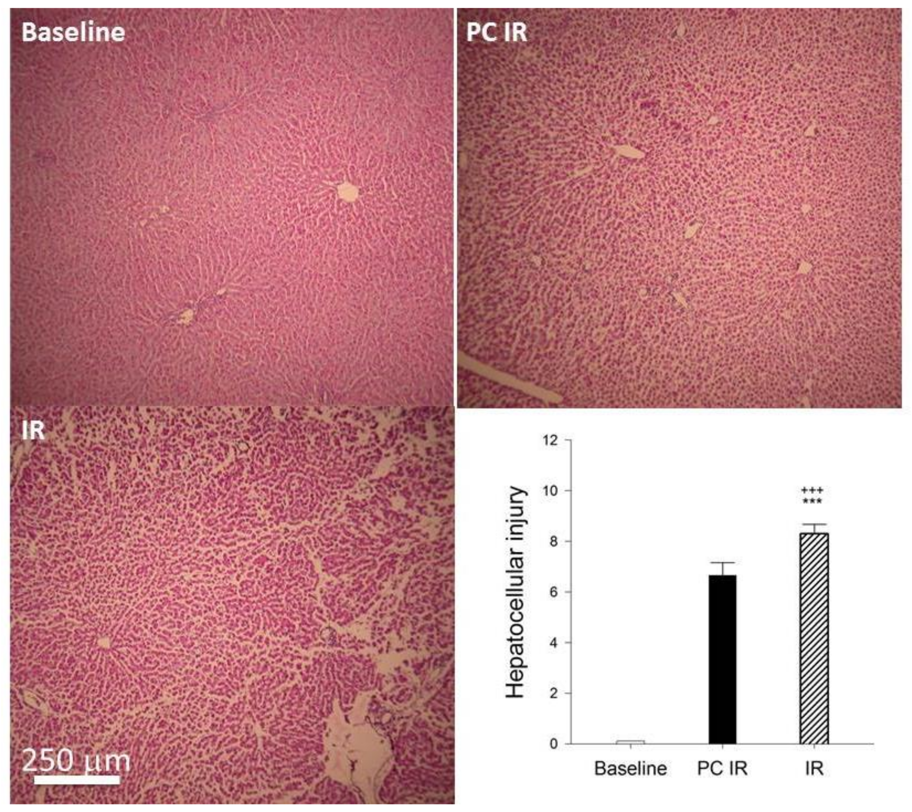 Ijms 19 01023 g005 550
