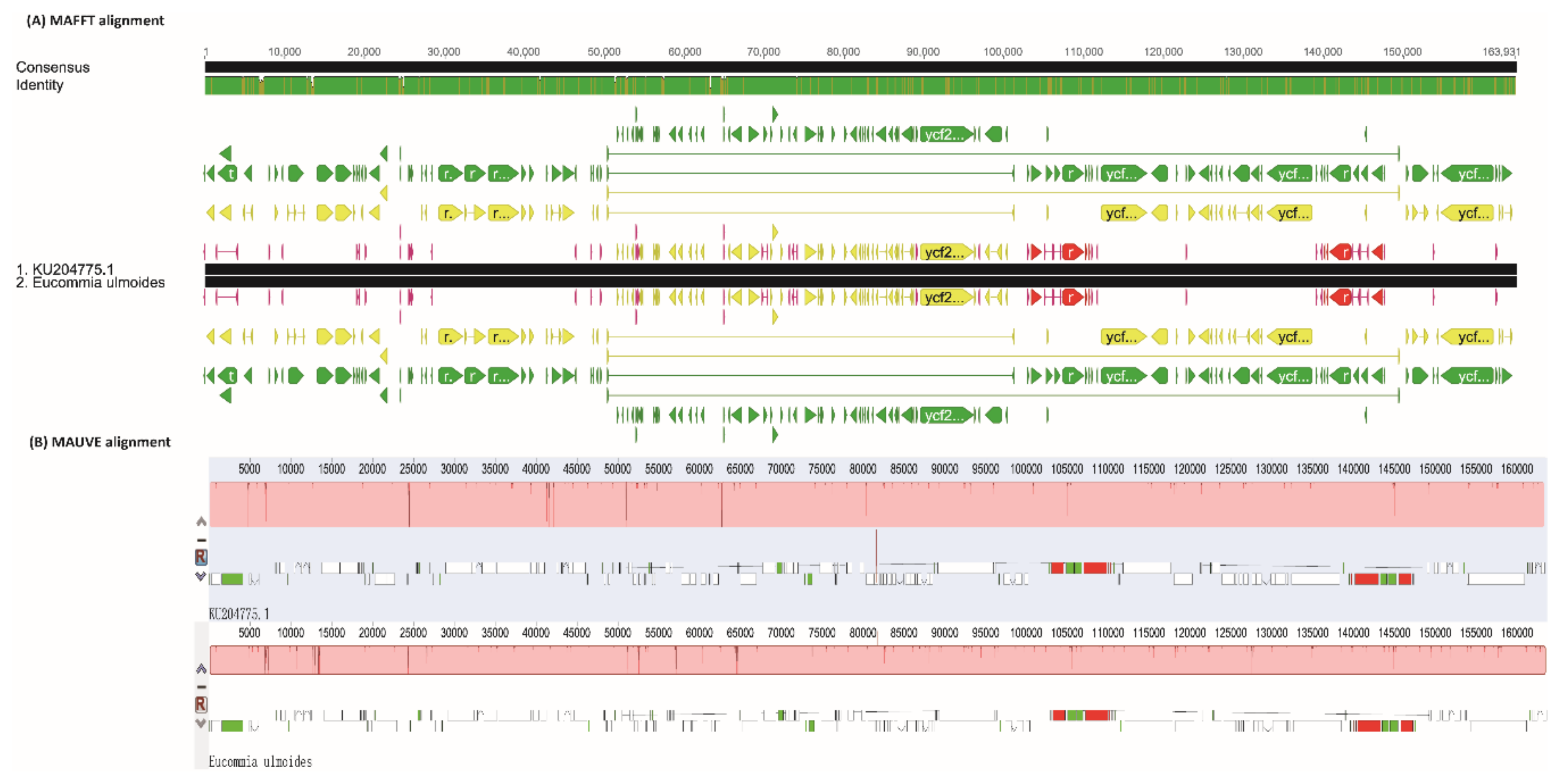 Ijms 19 01037 g001 Ijms 19 01037 g001