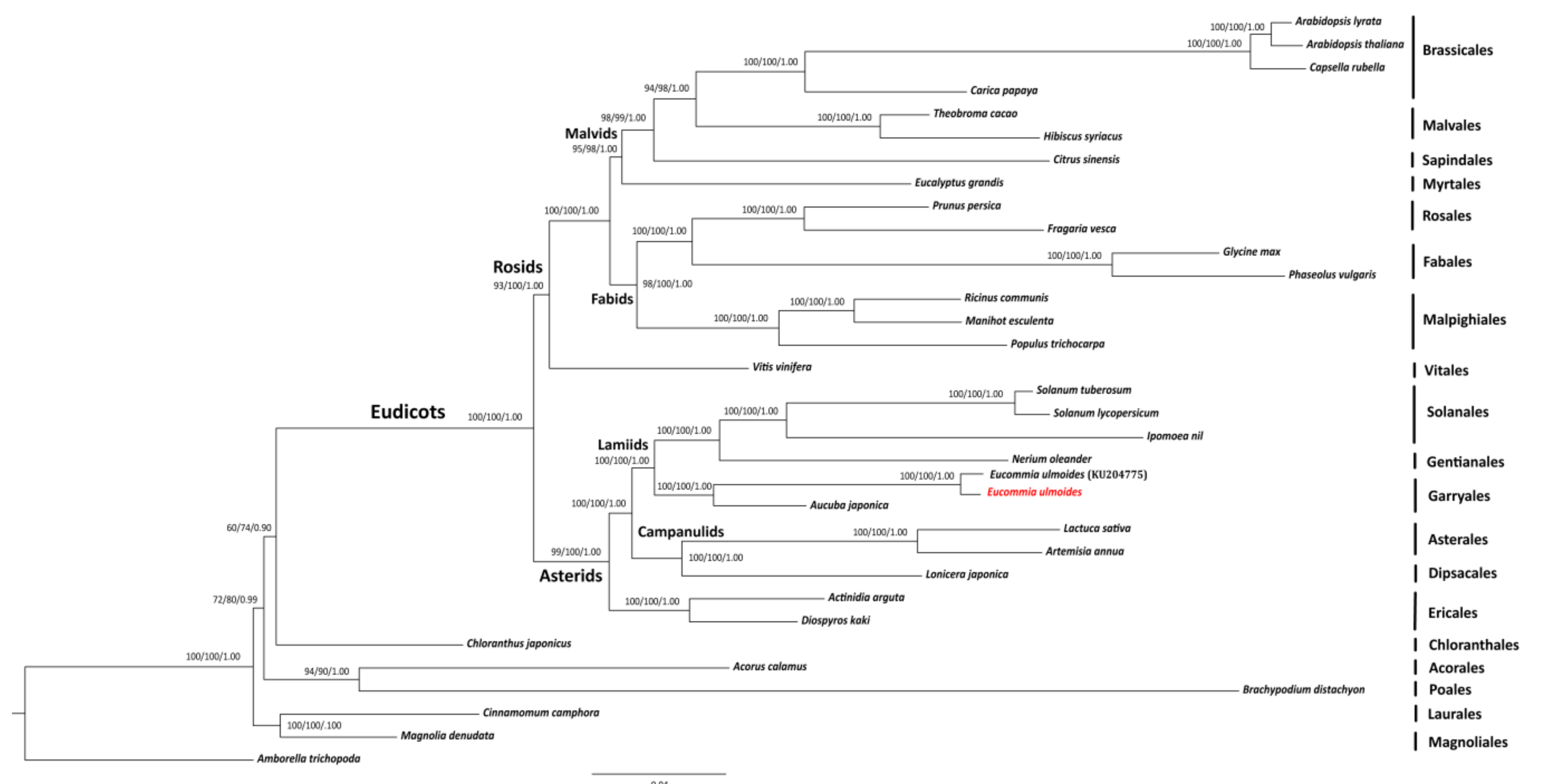 Ijms 19 01037 g004 Ijms 19 01037 g004