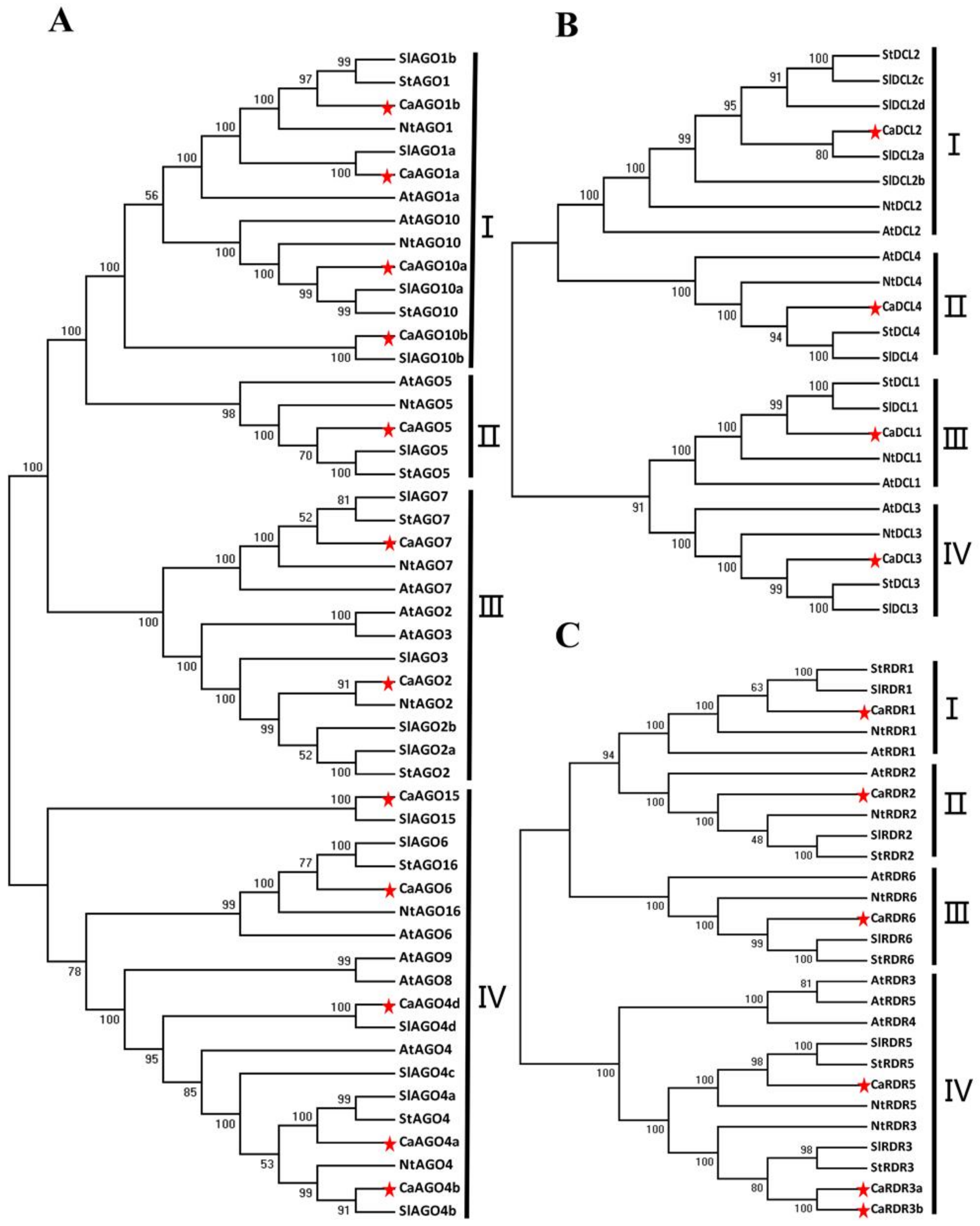 Ijms 19 01038 g002 Ijms 19 01038 g002