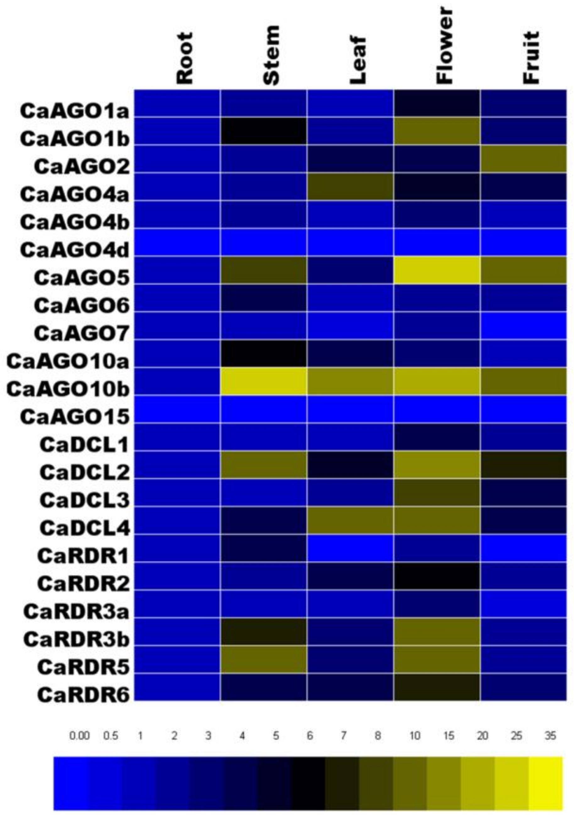 Ijms 19 01038 g003 Ijms 19 01038 g003