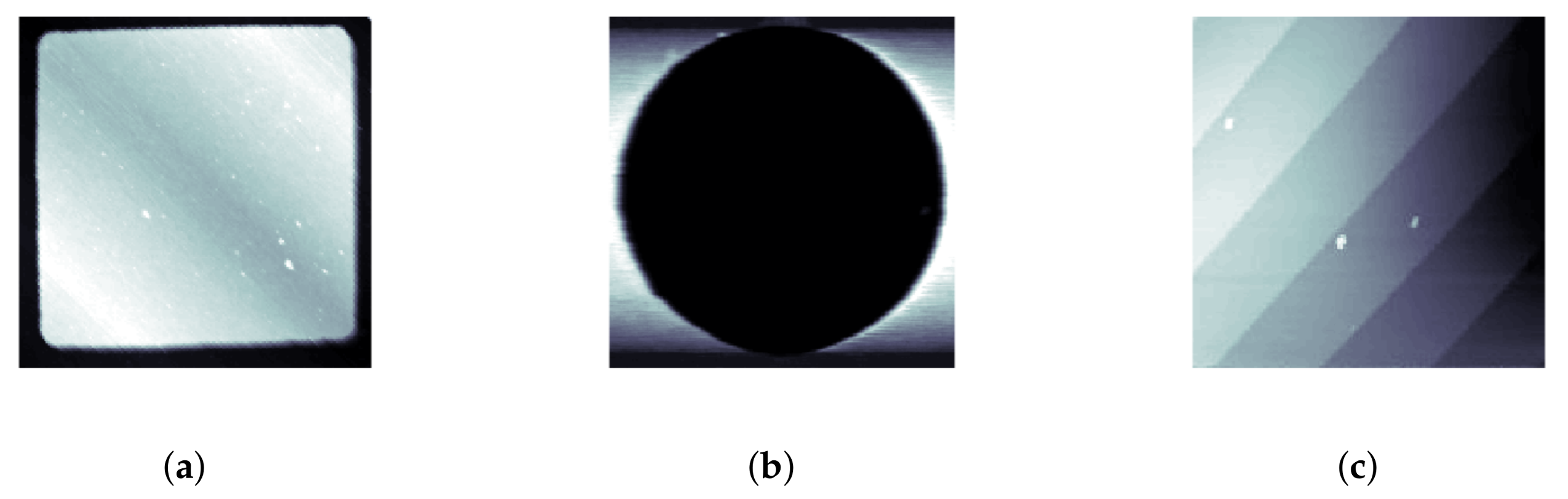 Ijms 19 01044 g003 550