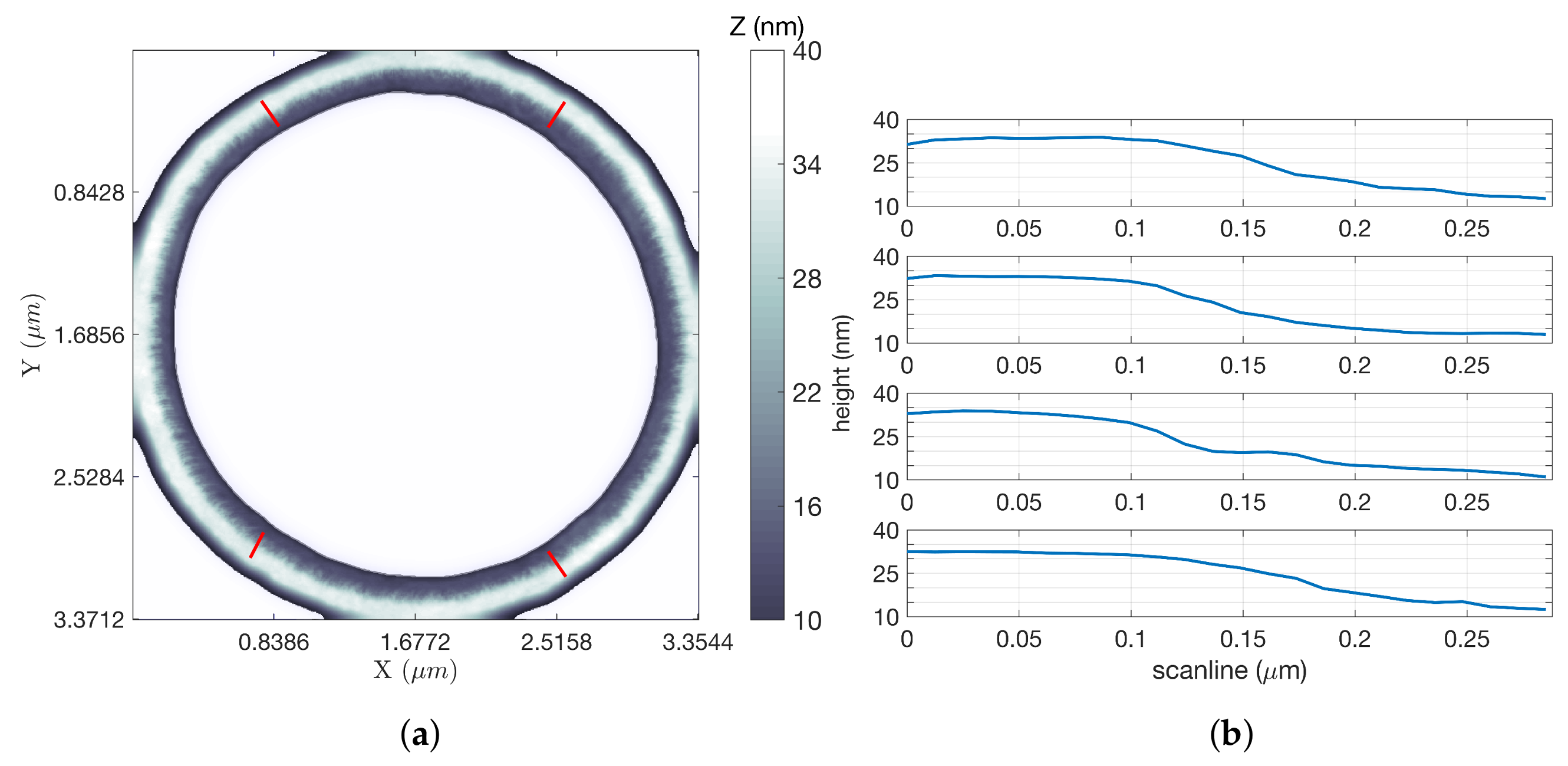 Ijms 19 01044 g006 550