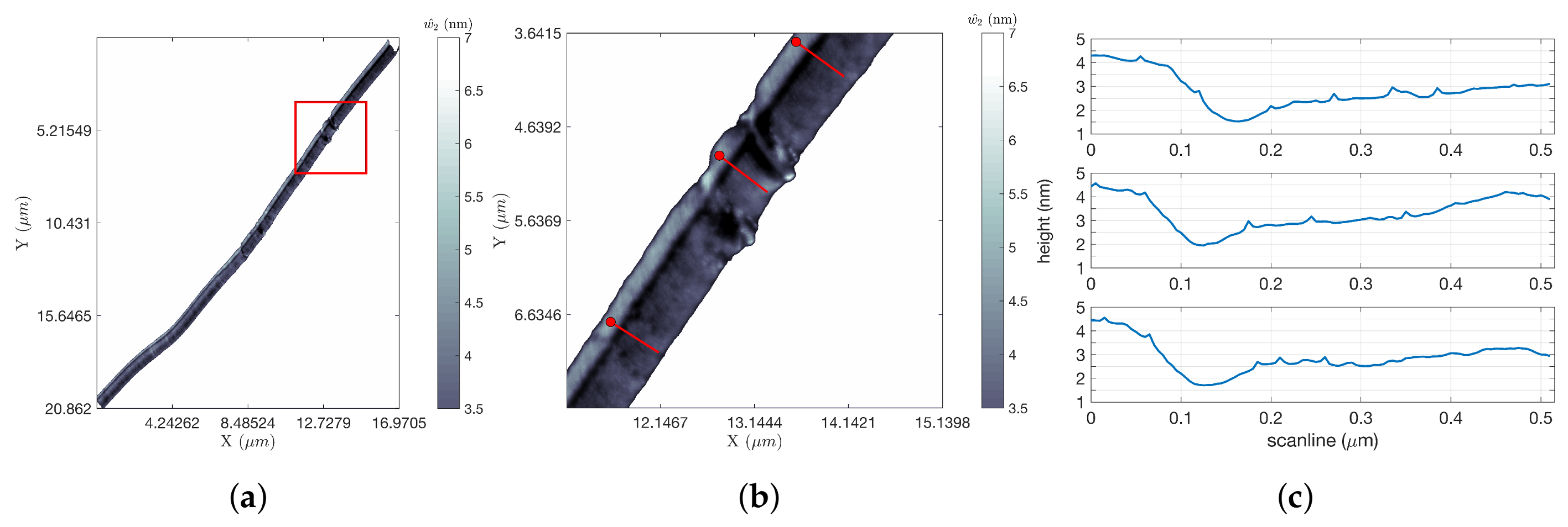 Ijms 19 01044 g007 550