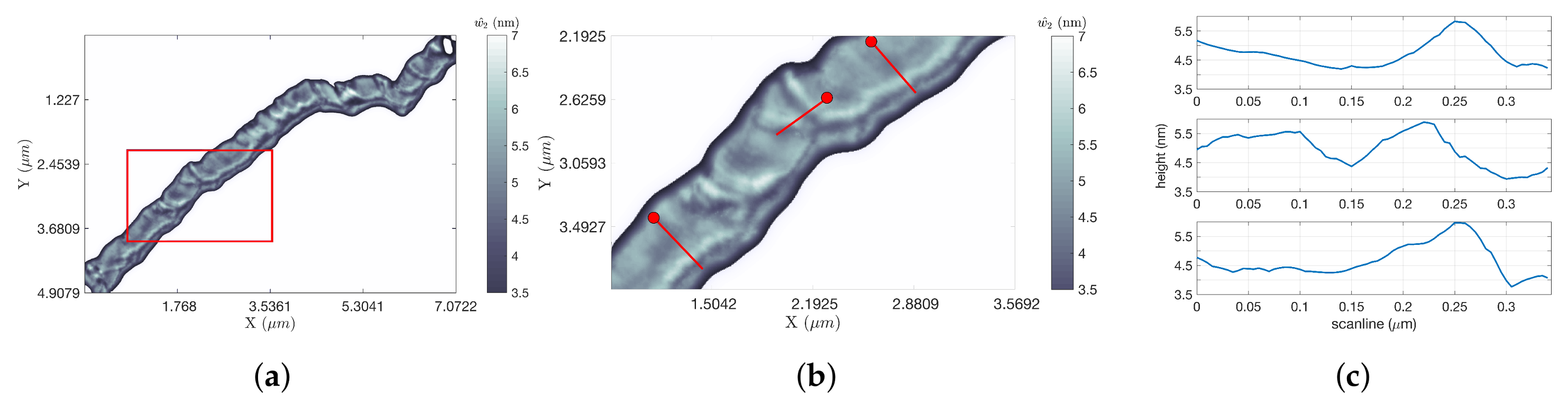 Ijms 19 01044 g008 550