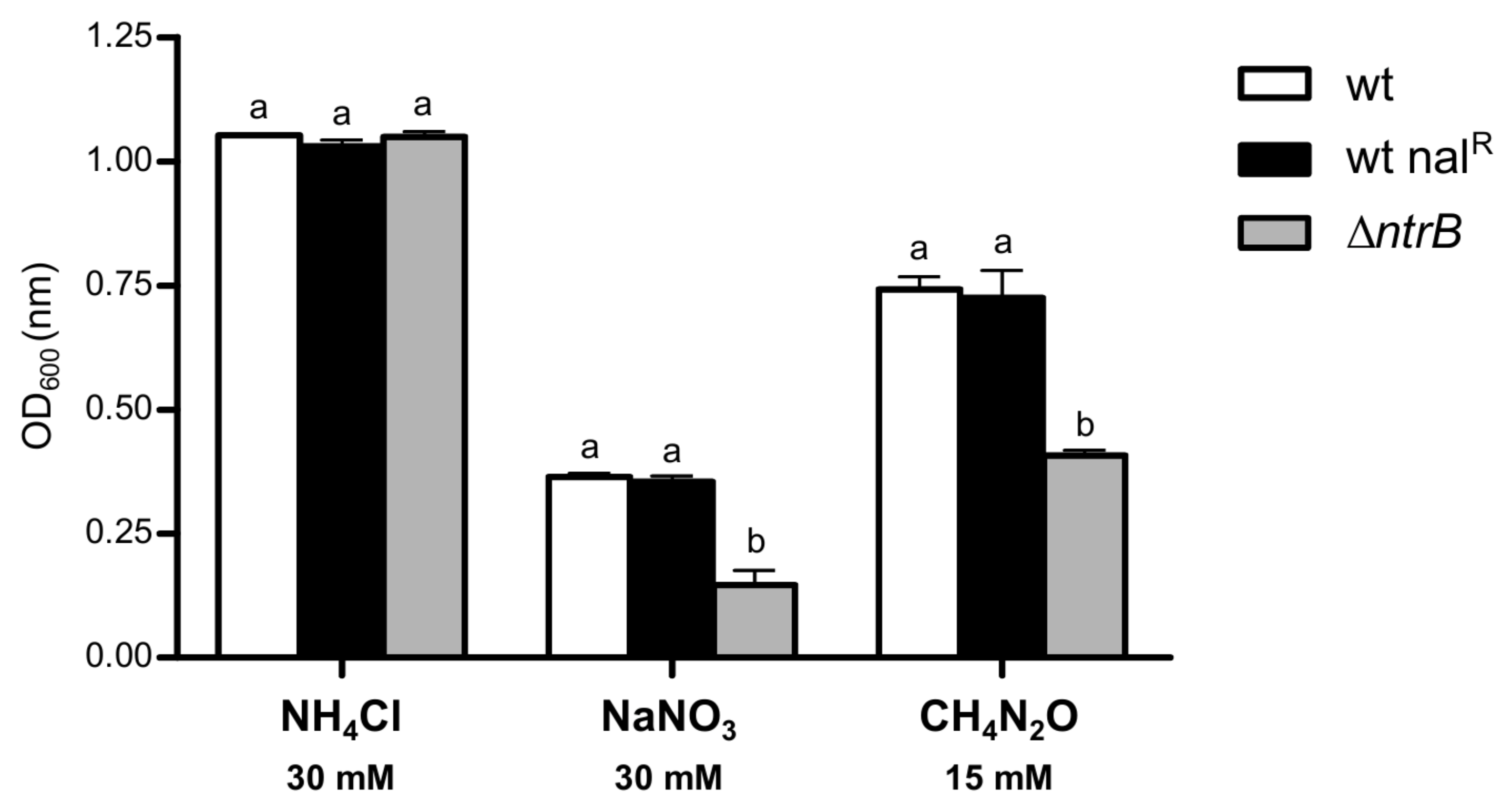 Ijms 19 01049 g005 Ijms 19 01049 g005