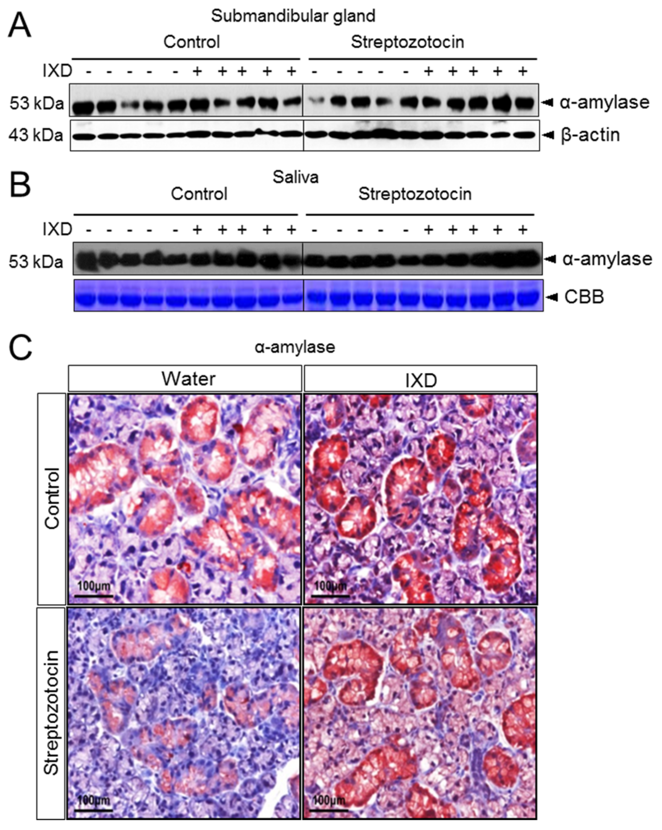 Ijms 19 01059 g004