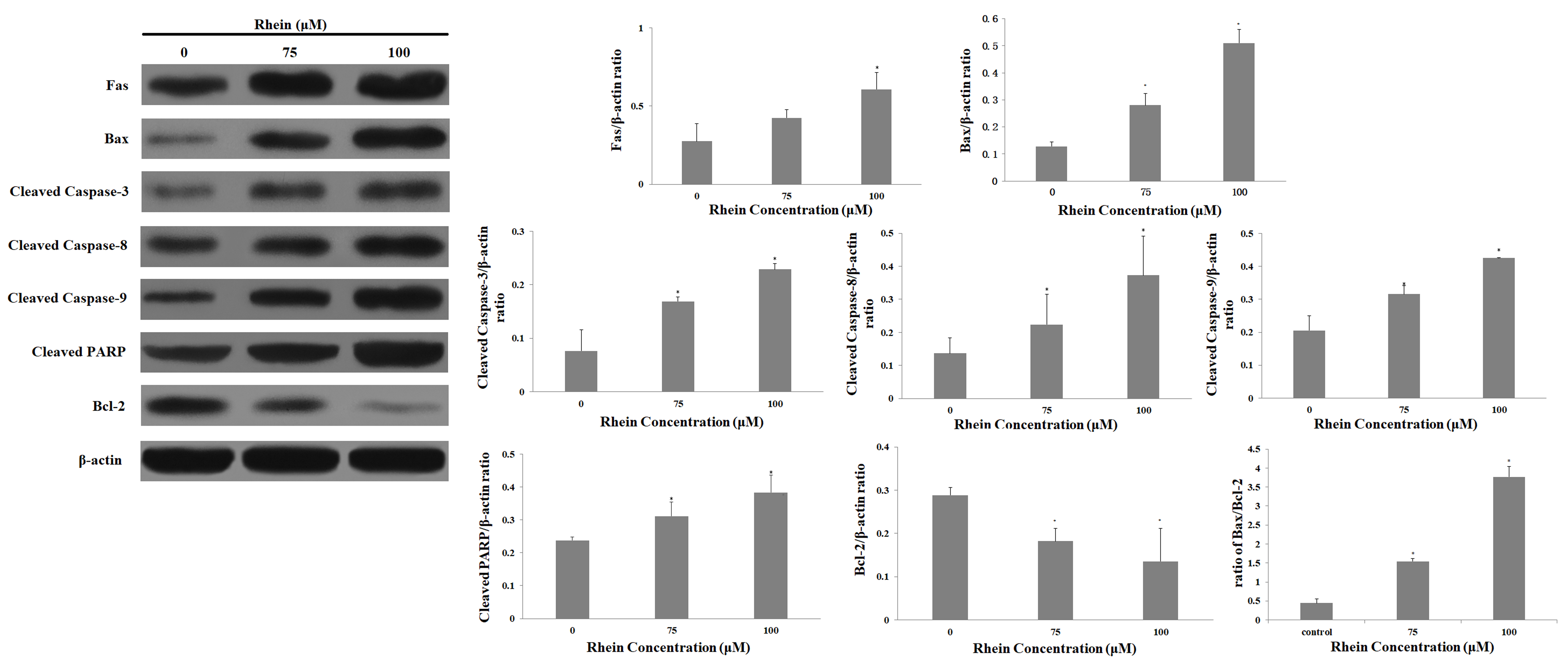 Ijms 19 01060 g007 550