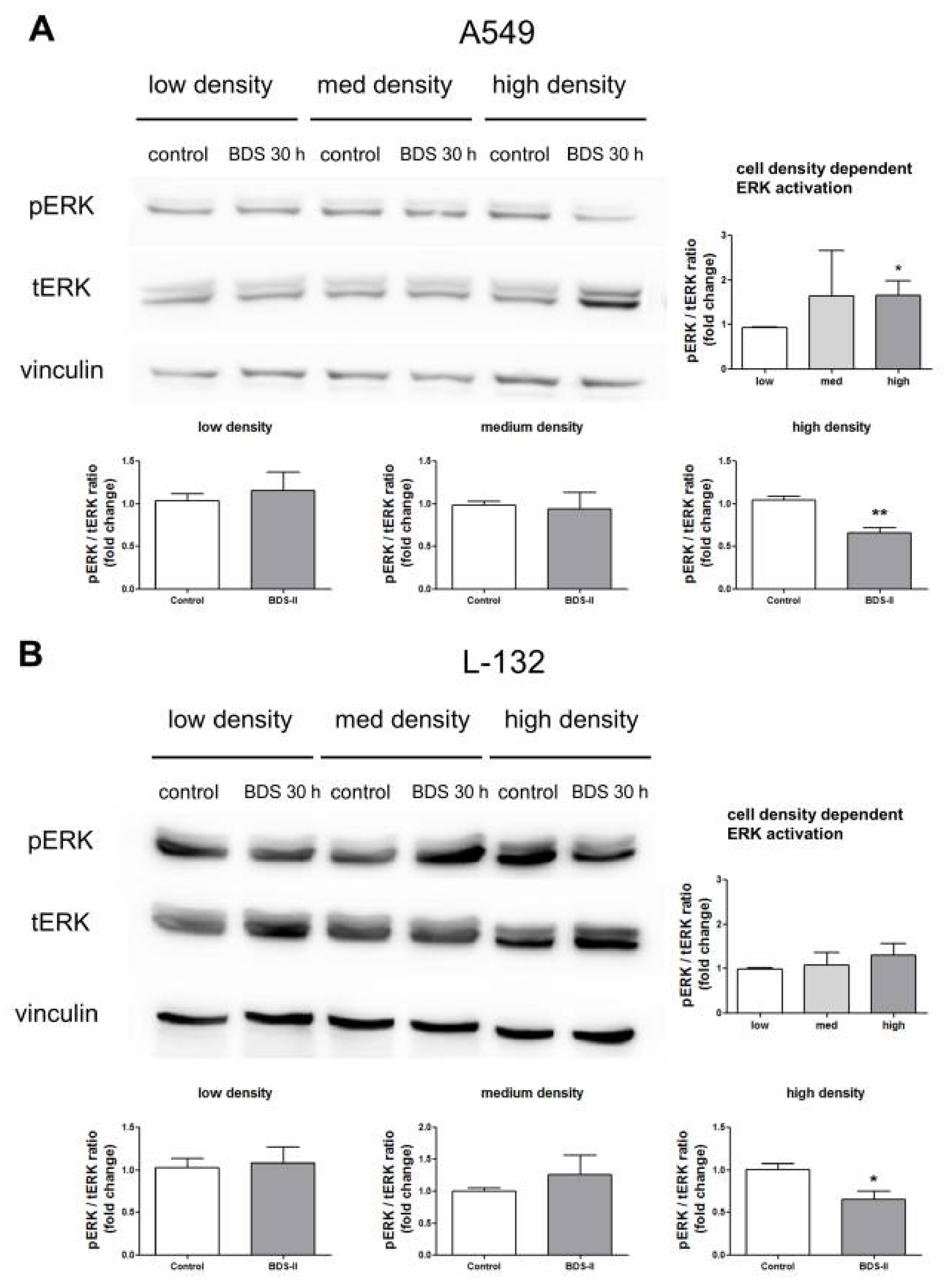 Ijms 19 01061 g007 550