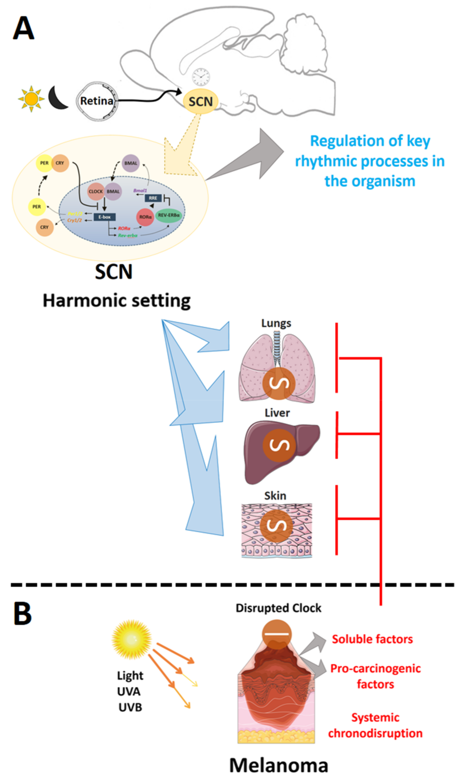 Ijms 19 01065 g007 Ijms 19 01065 g007