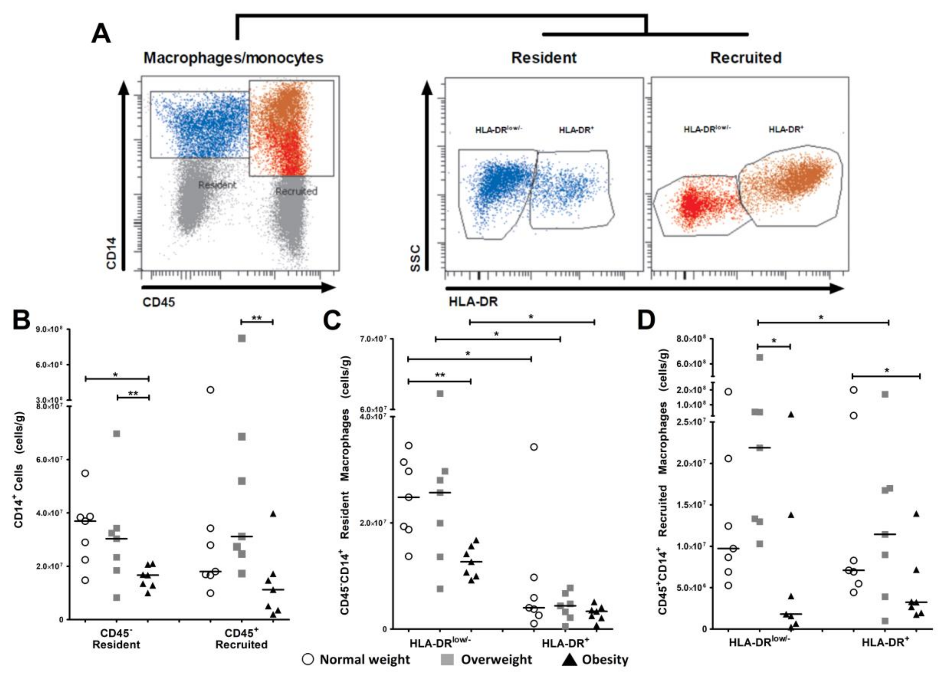 legislative composition of j&k council from Populations Tissue Macrophage Visceral IJMS Women in Full Free Pregnant Text Adipose legislative composition of j&k council from Populations Tissue Macrophage Visceral IJMS Women in Full Free Pregnant Text Adipose