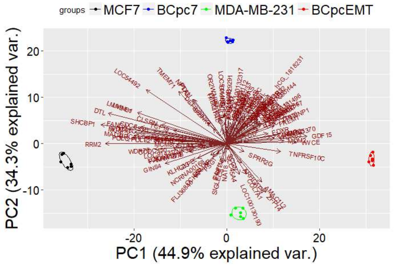 Ijms 19 01084 g001 Ijms 19 01084 g001