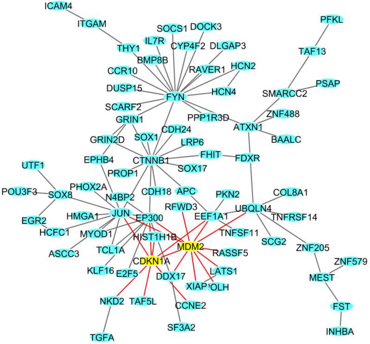 Ijms 19 01084 g002 Ijms 19 01084 g002