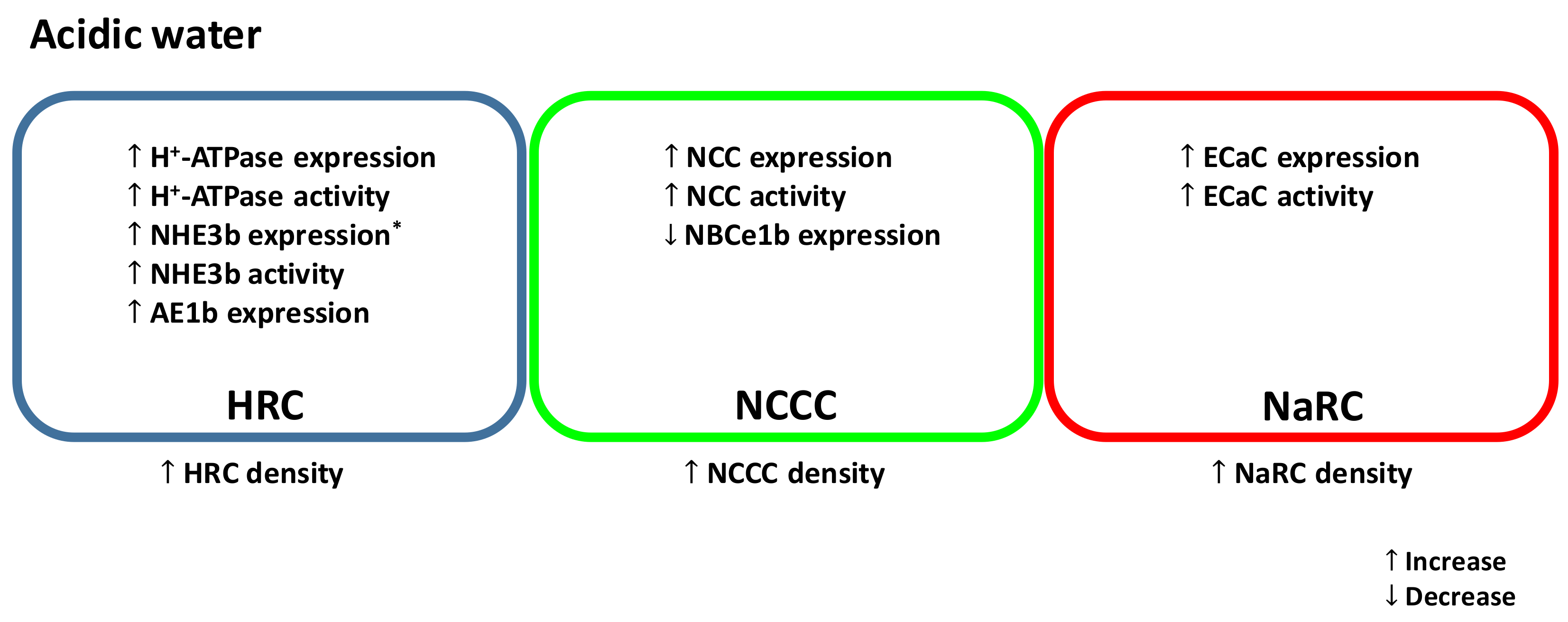 Ijms 19 01087 g001 Ijms 19 01087 g001