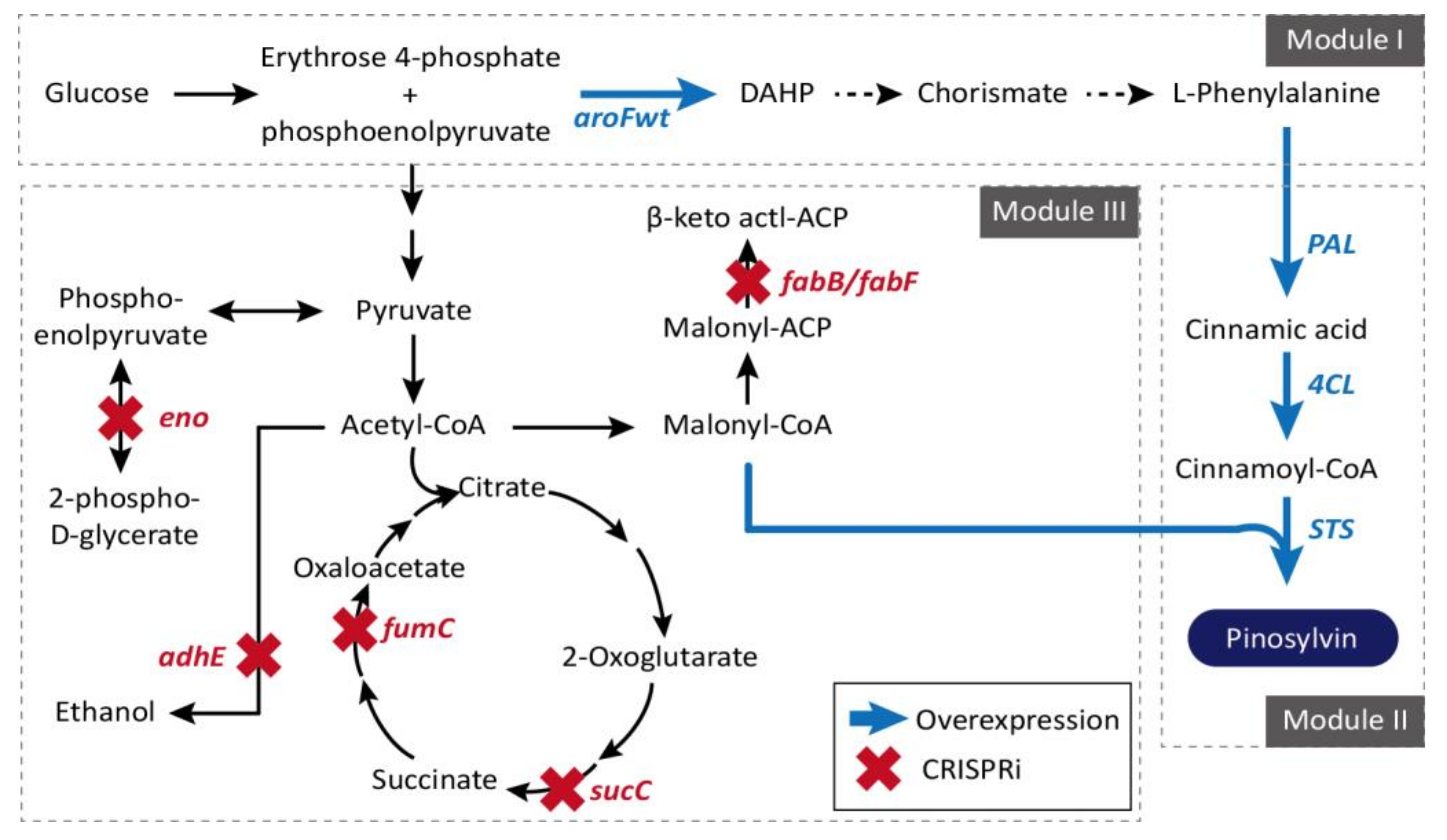 Application Of Using Crispr Cas