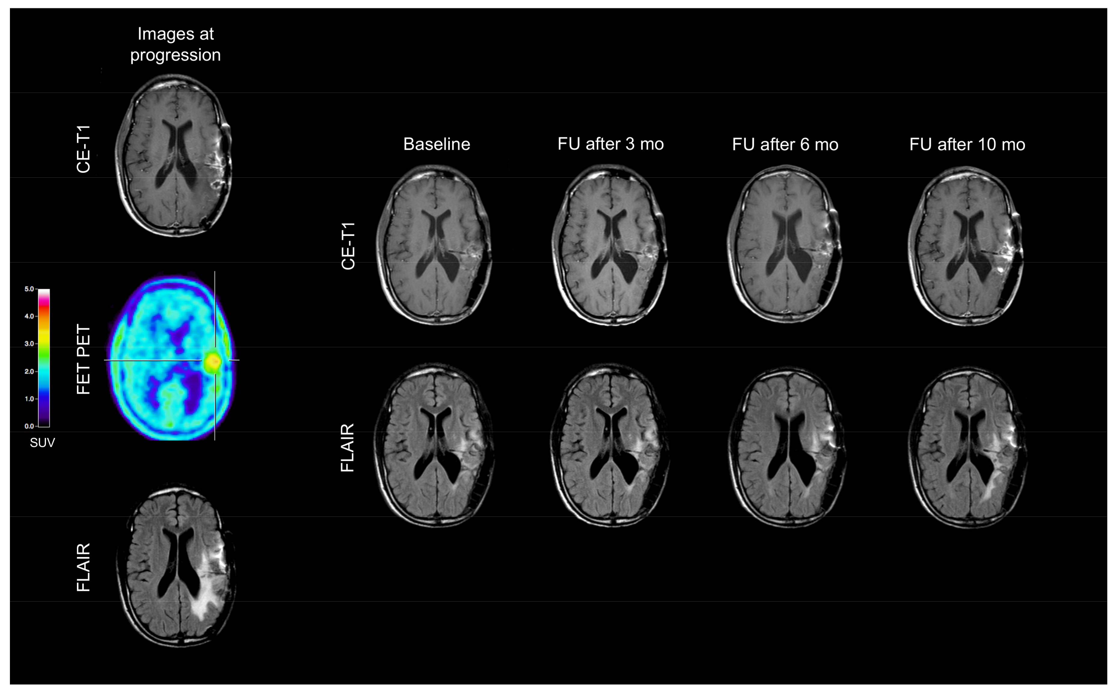 Ijms 19 01090 g002 Ijms 19 01090 g002