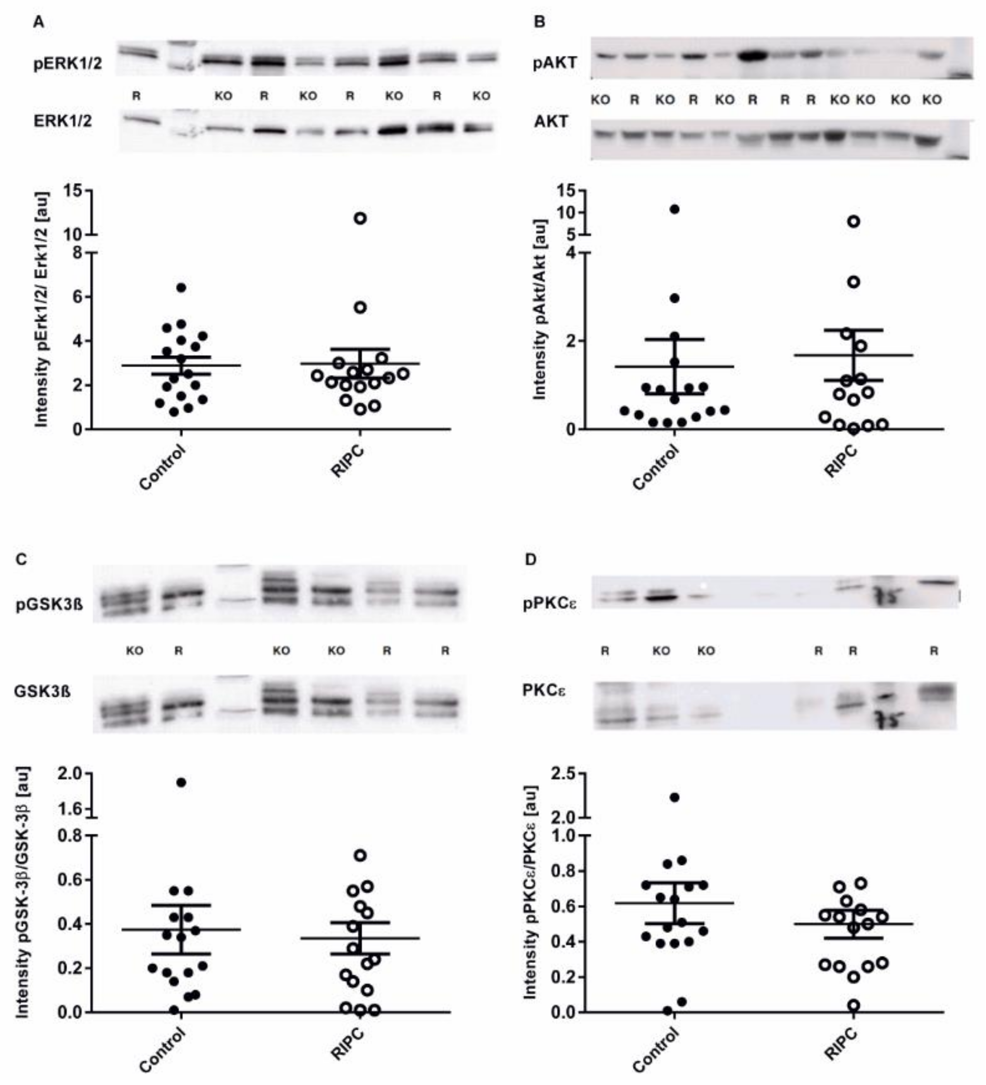 Ijms 19 01094 g004 Ijms 19 01094 g004