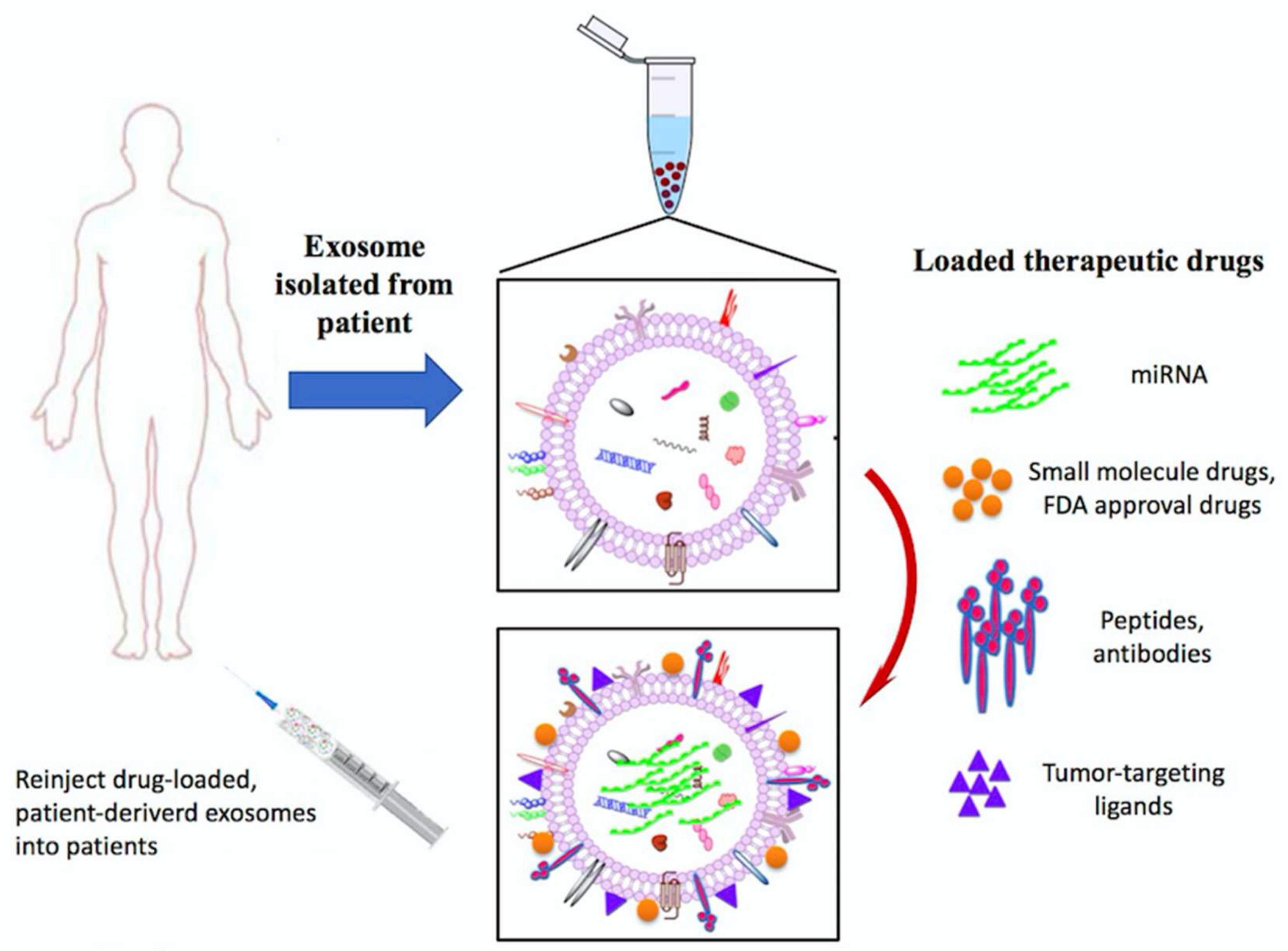 Ijms 19 01115 g006 Ijms 19 01115 g006