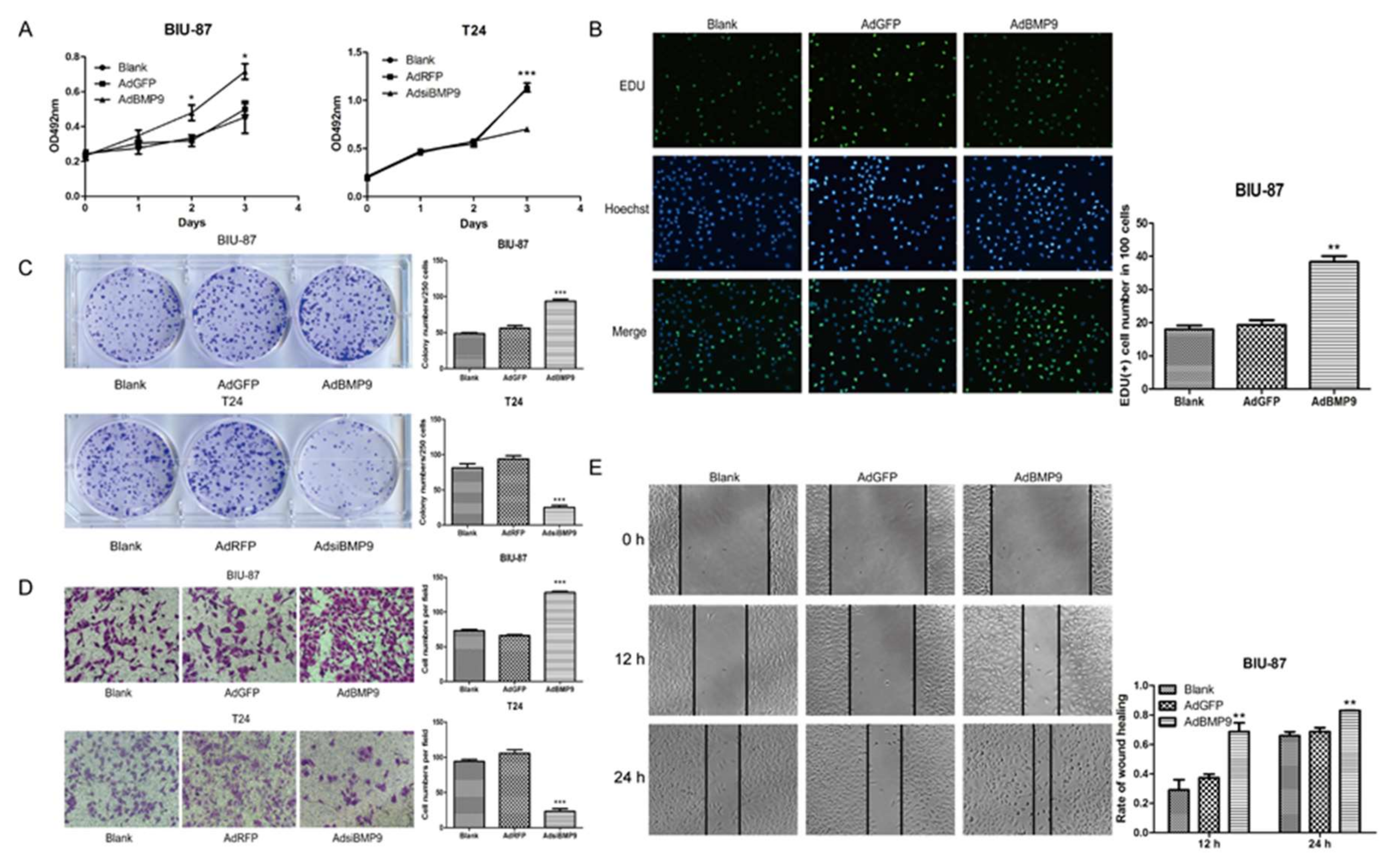 Ijms 19 01116 g002 Ijms 19 01116 g002