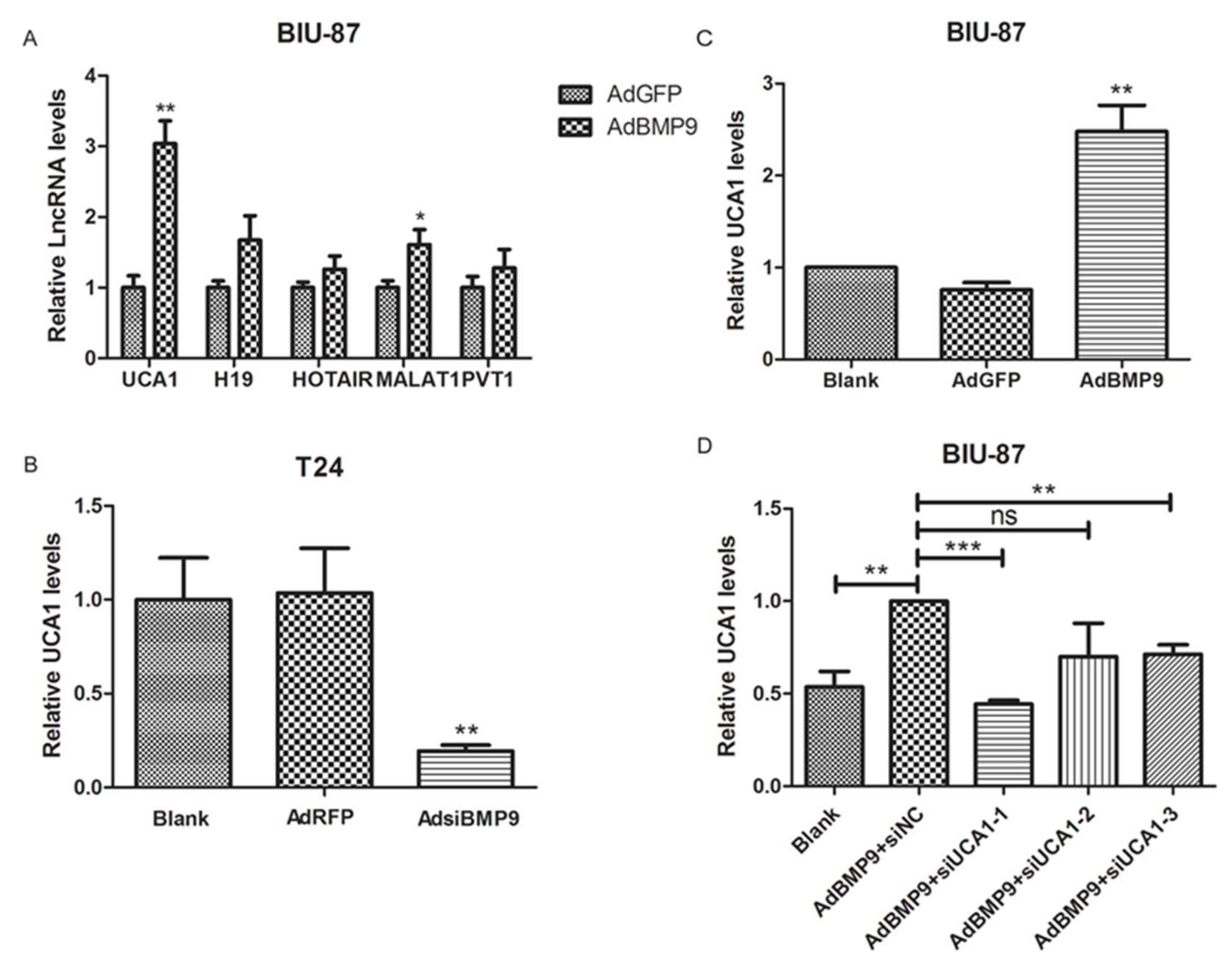 Ijms 19 01116 g003 Ijms 19 01116 g003
